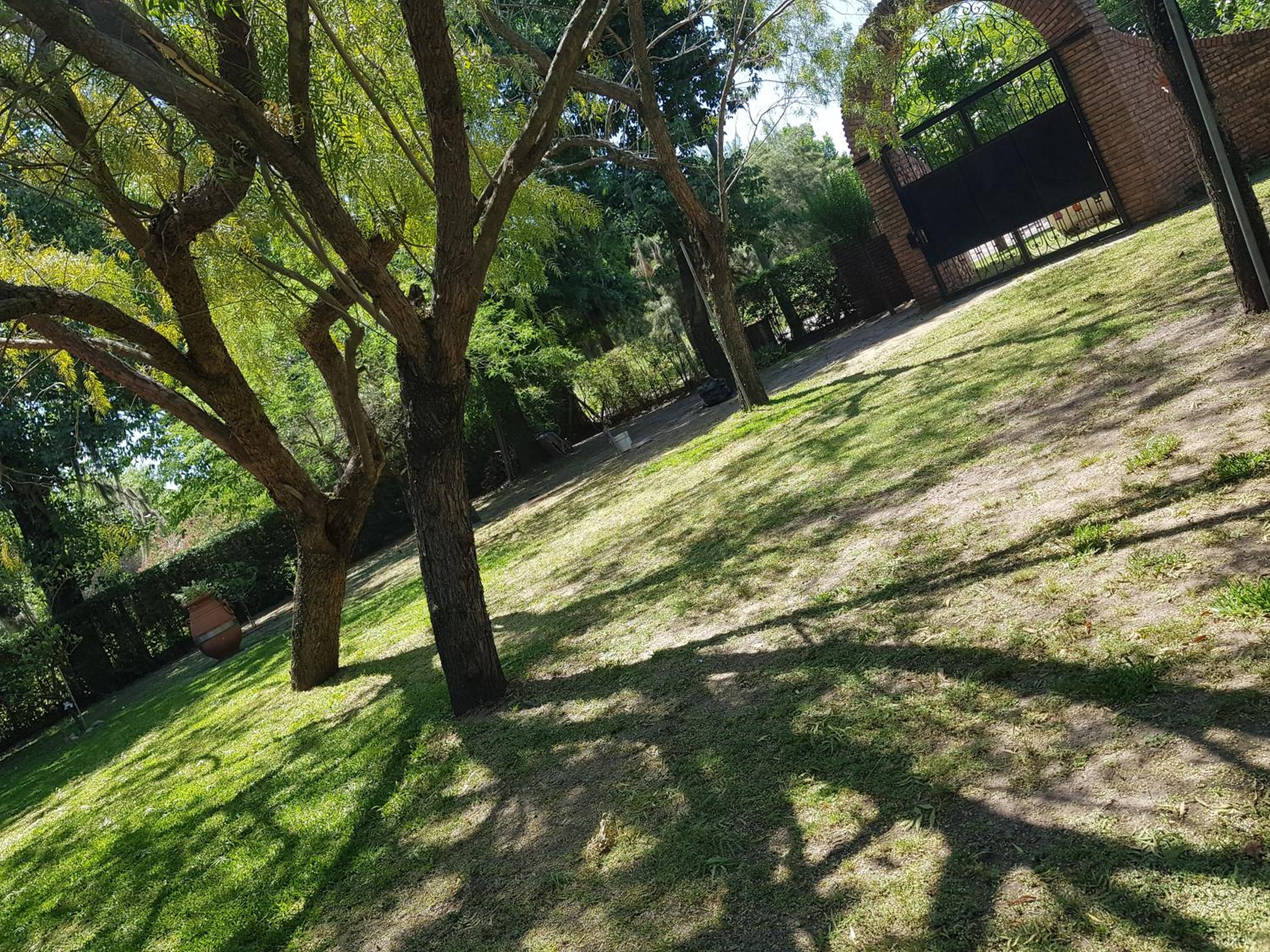 La Deolinda