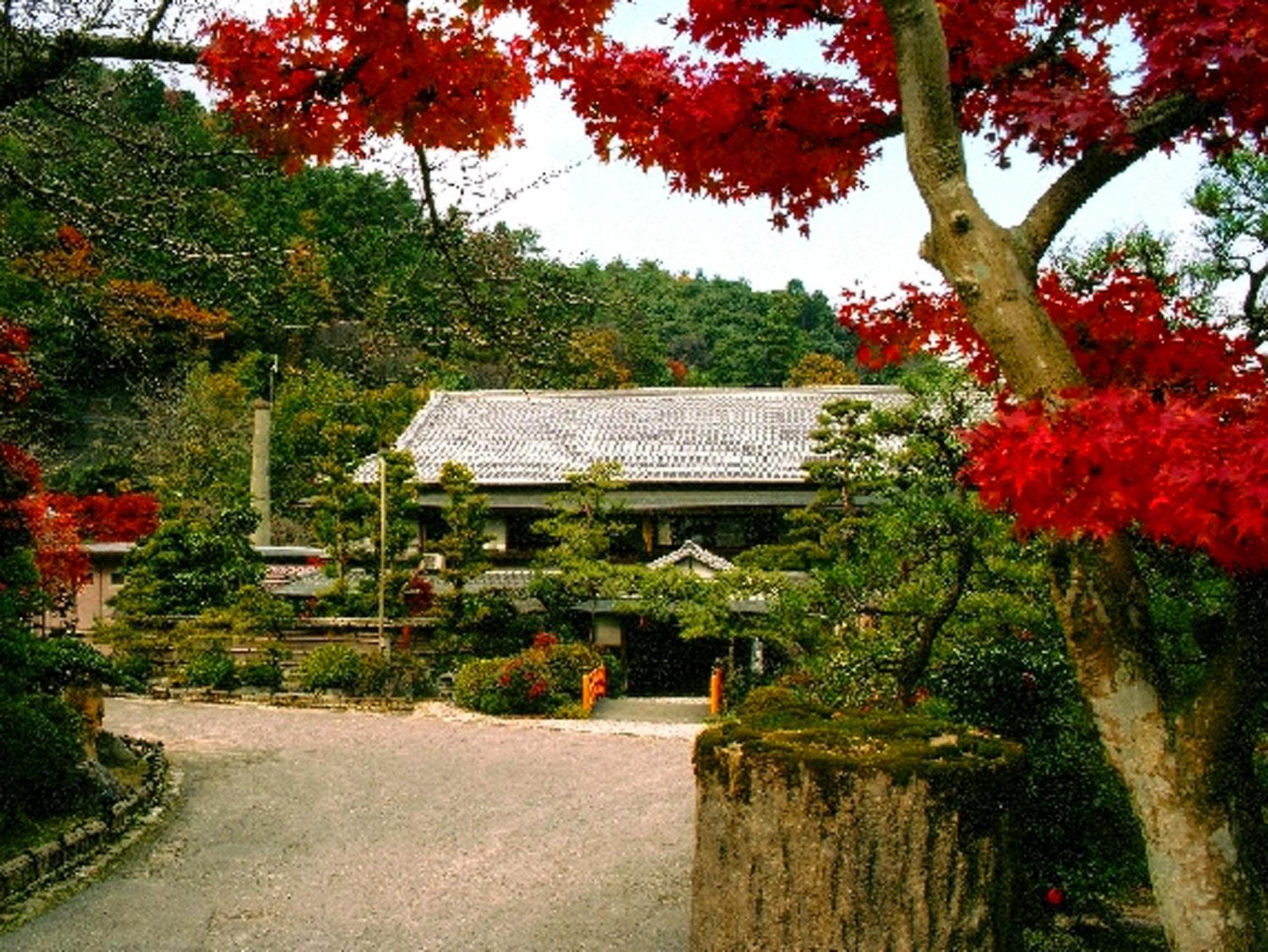 Nanten-En, Kawachinagano - 17