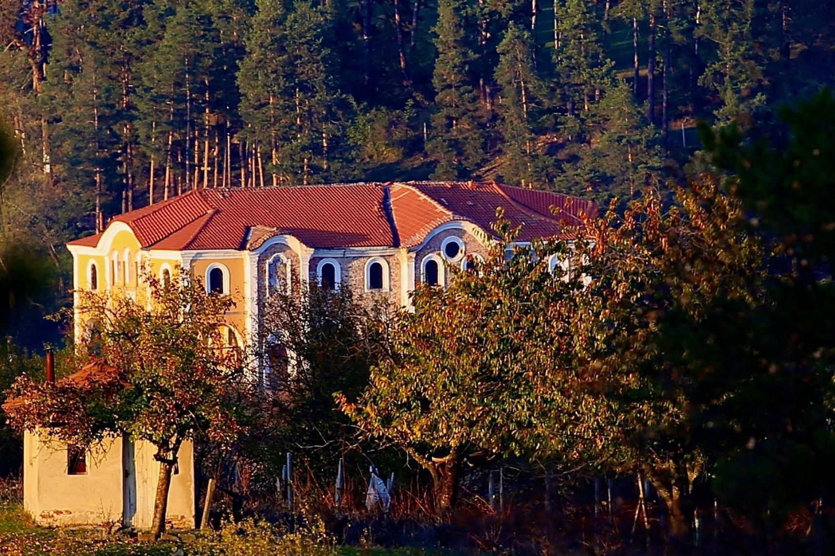 Iliikova House