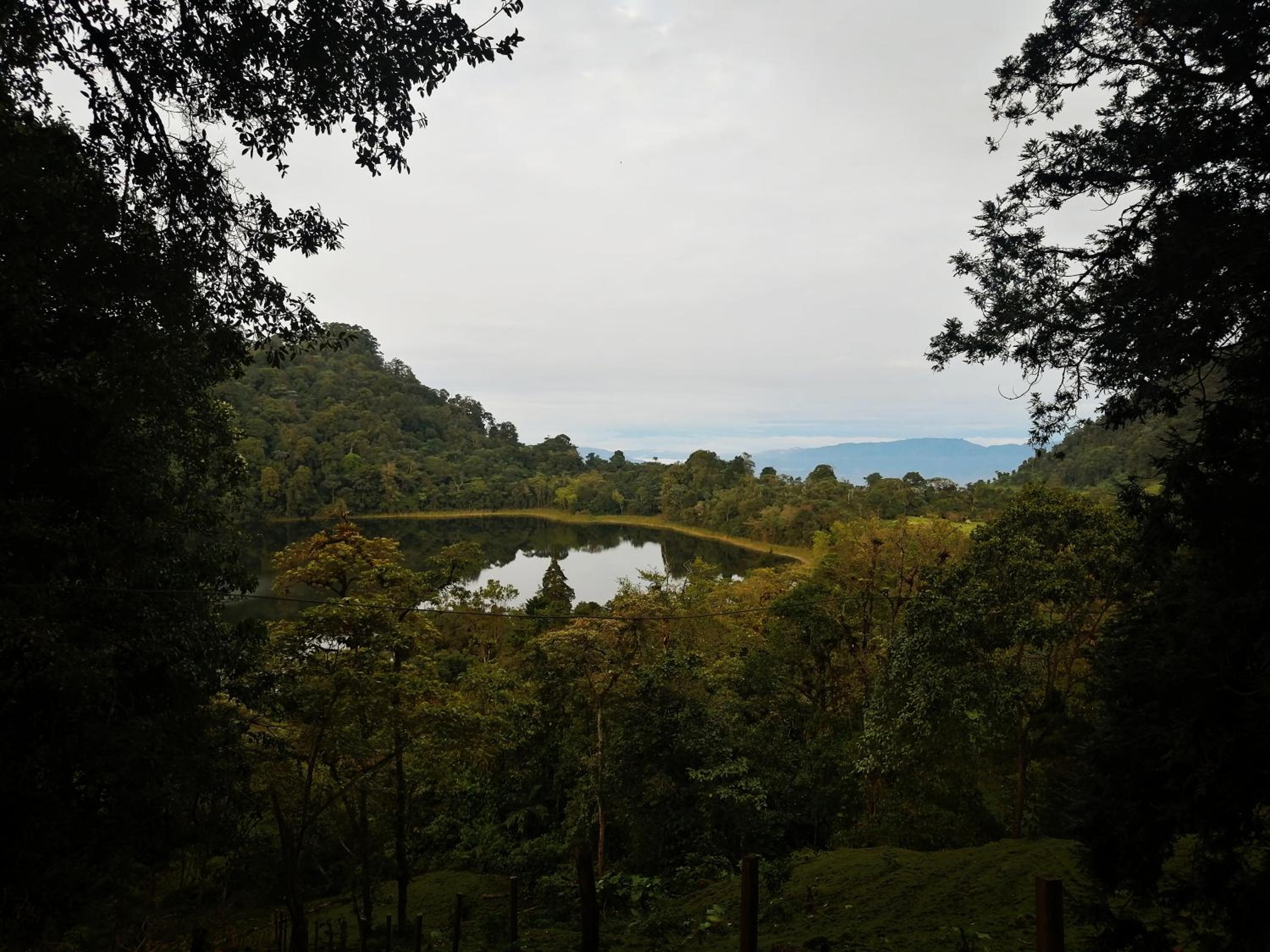 Nuestro Bosque I