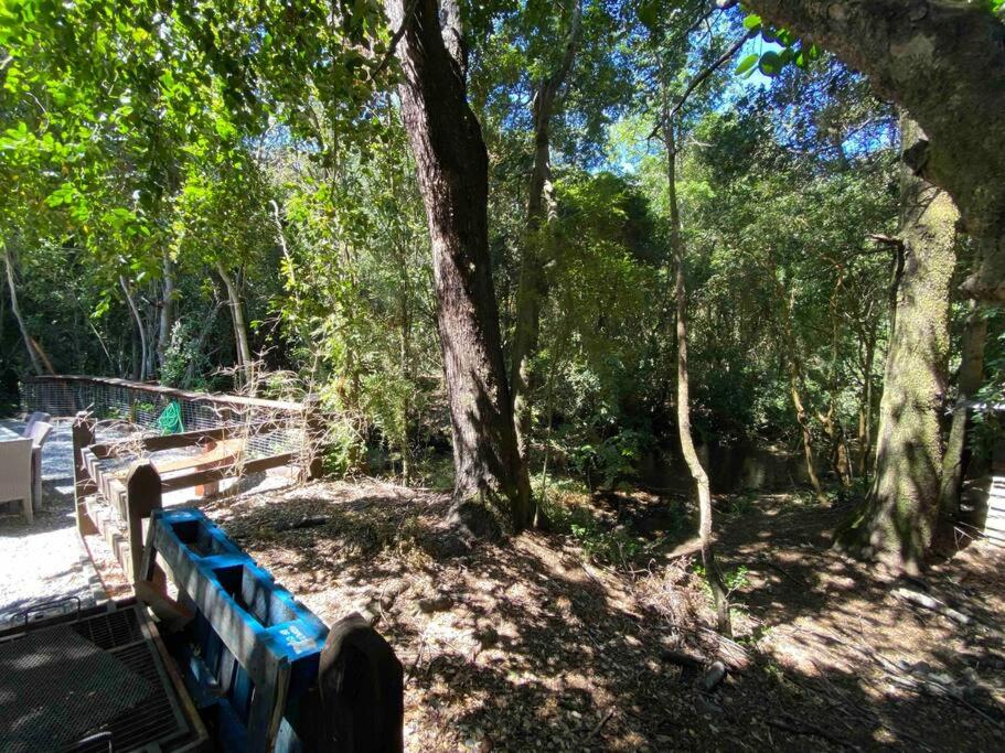 Acogedora cabaña al borde del Río Claro