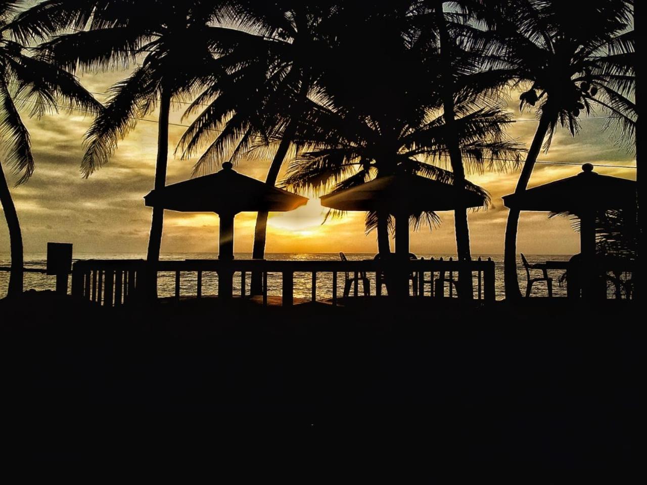 Guesthouse Panorama