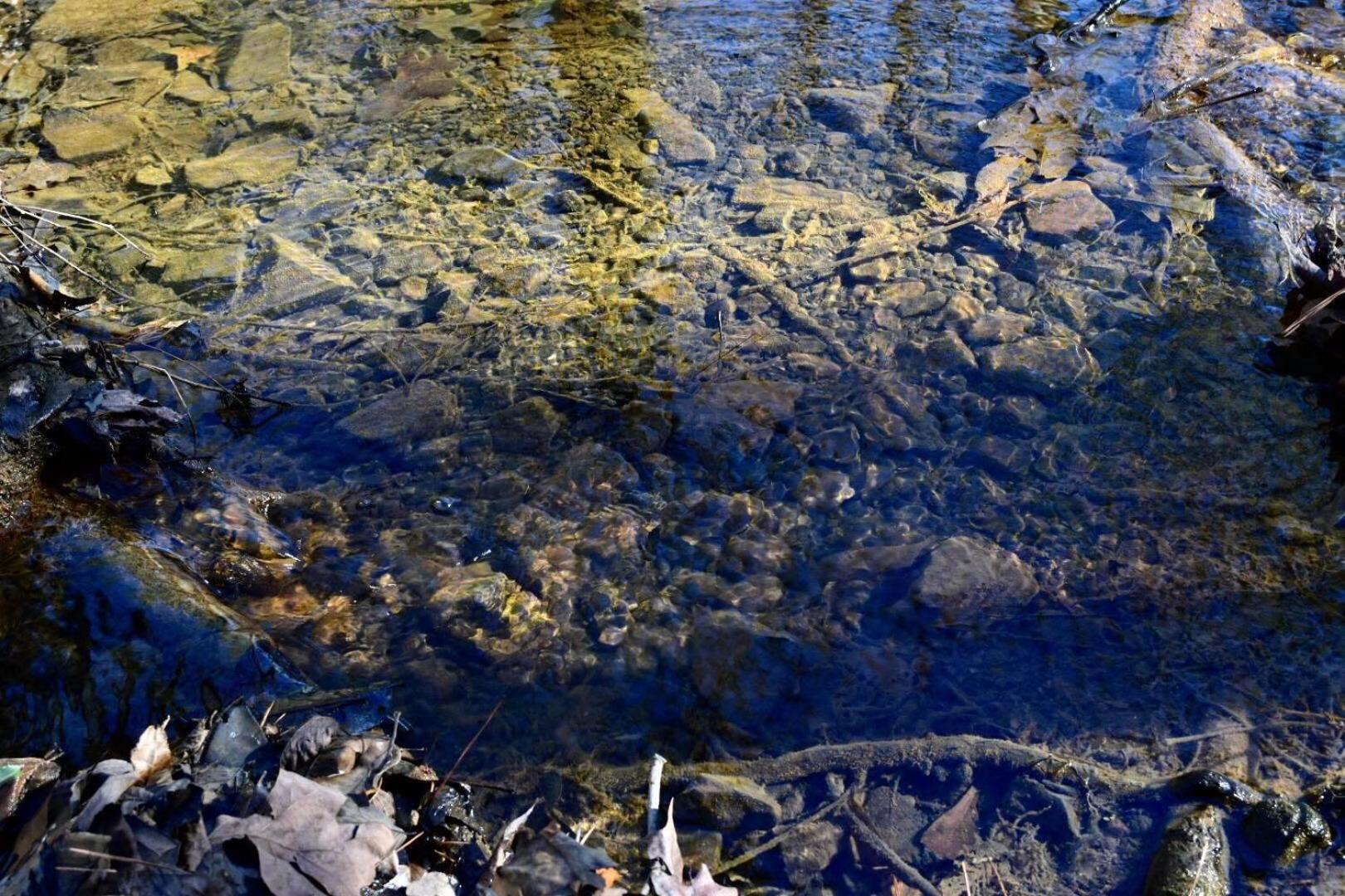 Photo 47