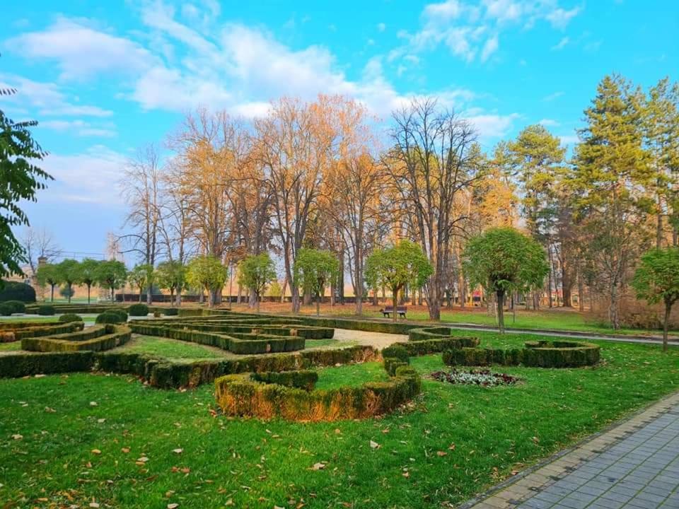 Studio apartman Elena - Banja Koviljača view 2