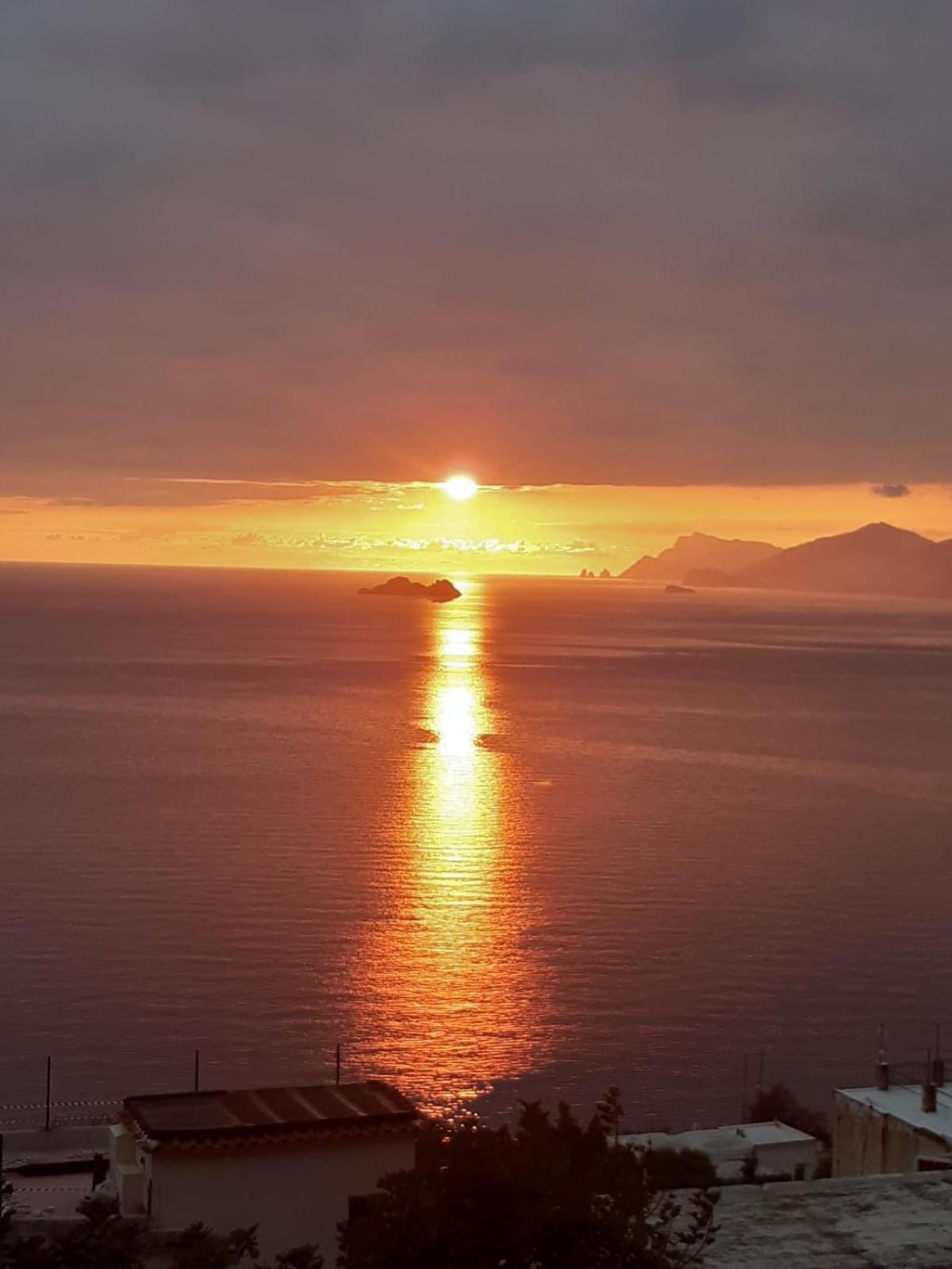 IL PROFUMO DEI FIORI SUITE photo 4