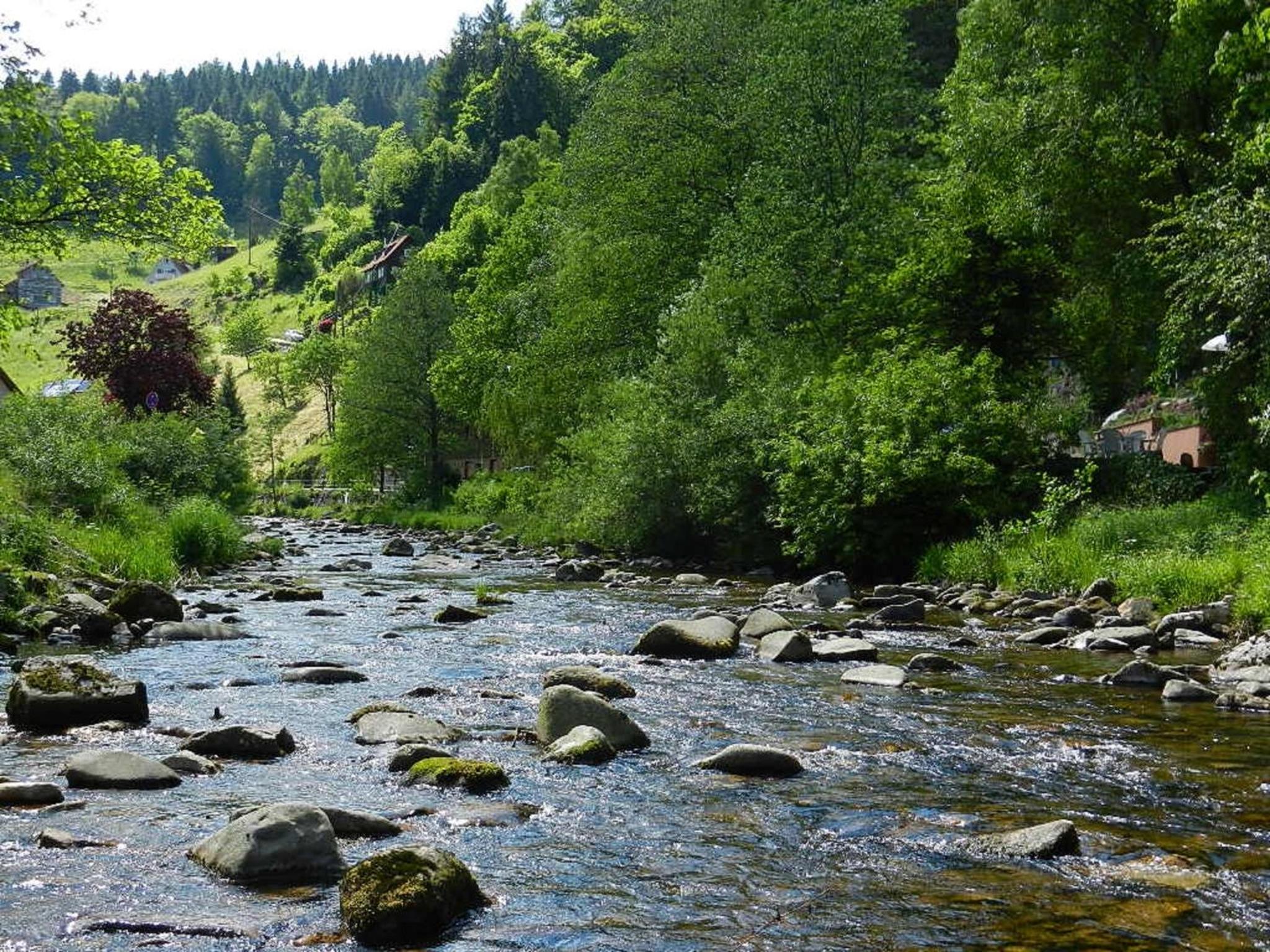 Ferienwohnungen in Schönmünzach