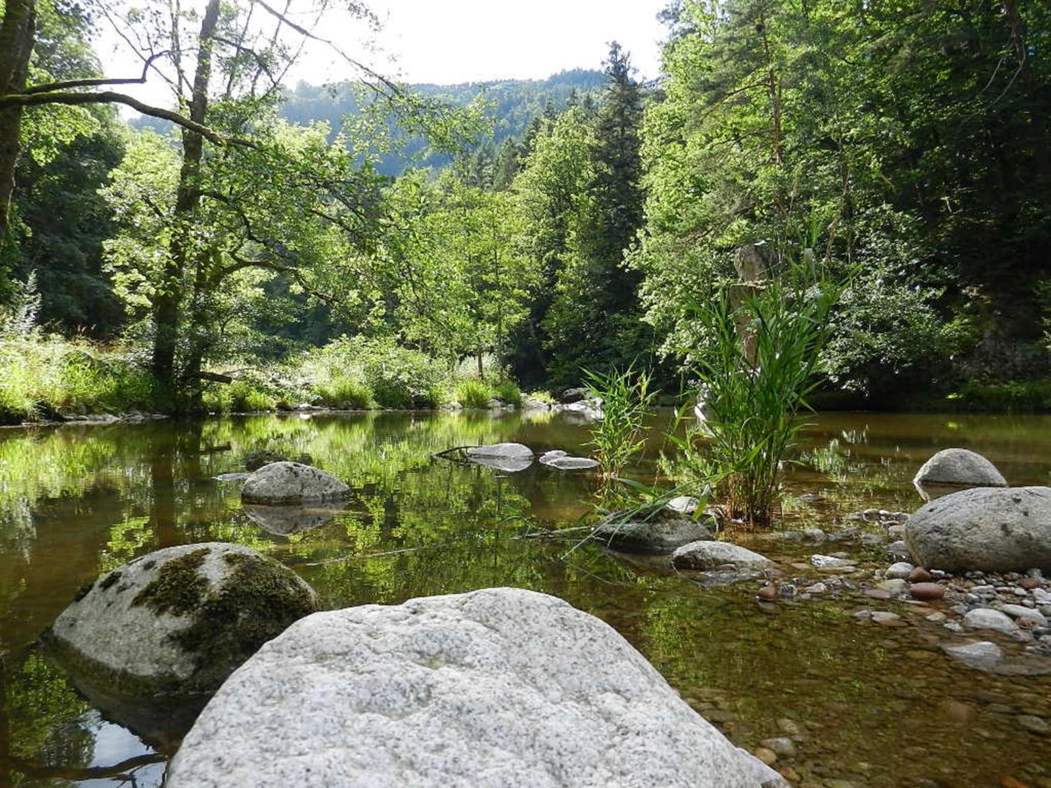 Ferienwohnungen in Schönmünzach