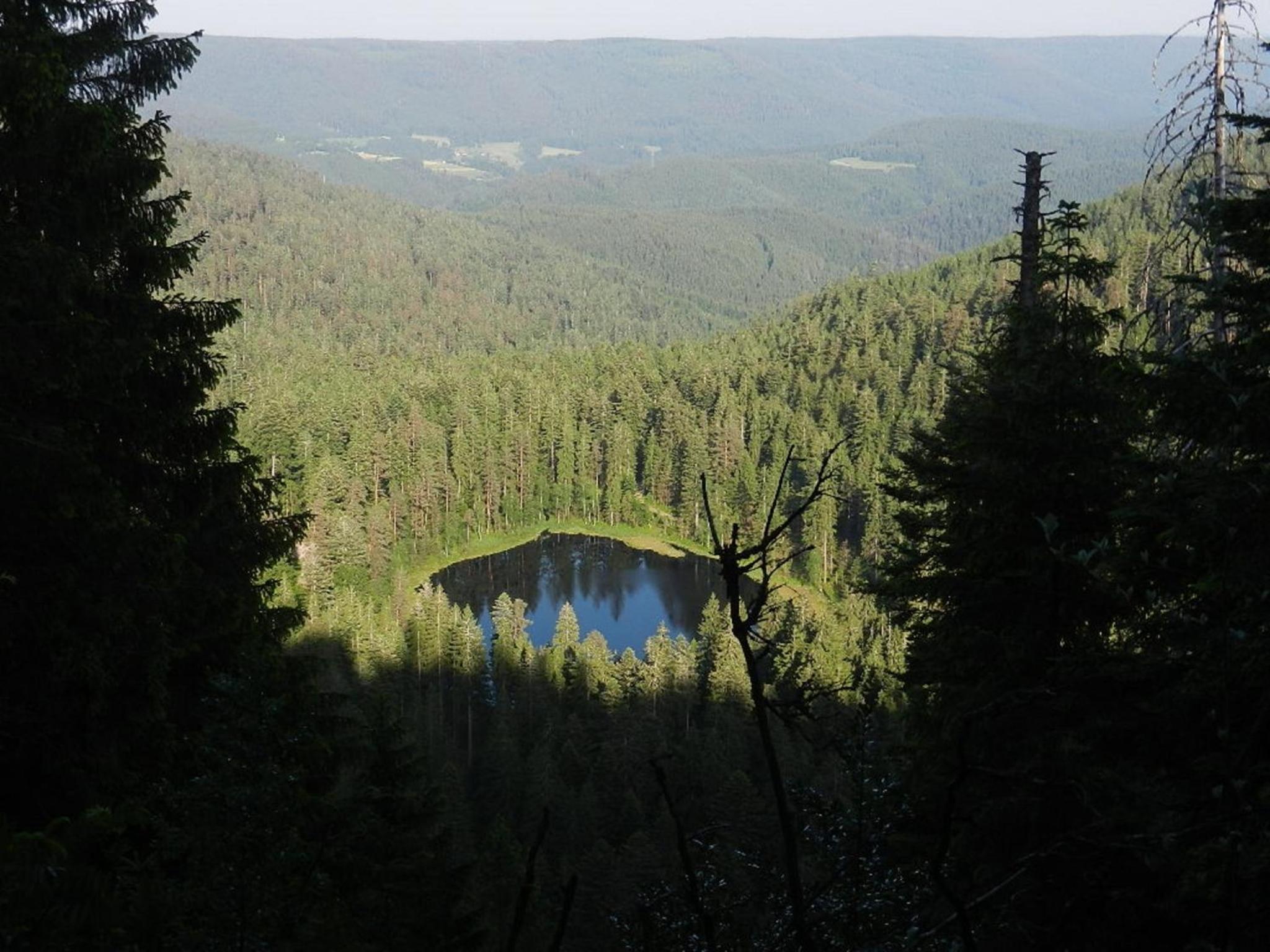 Ferienwohnungen in Schönmünzach