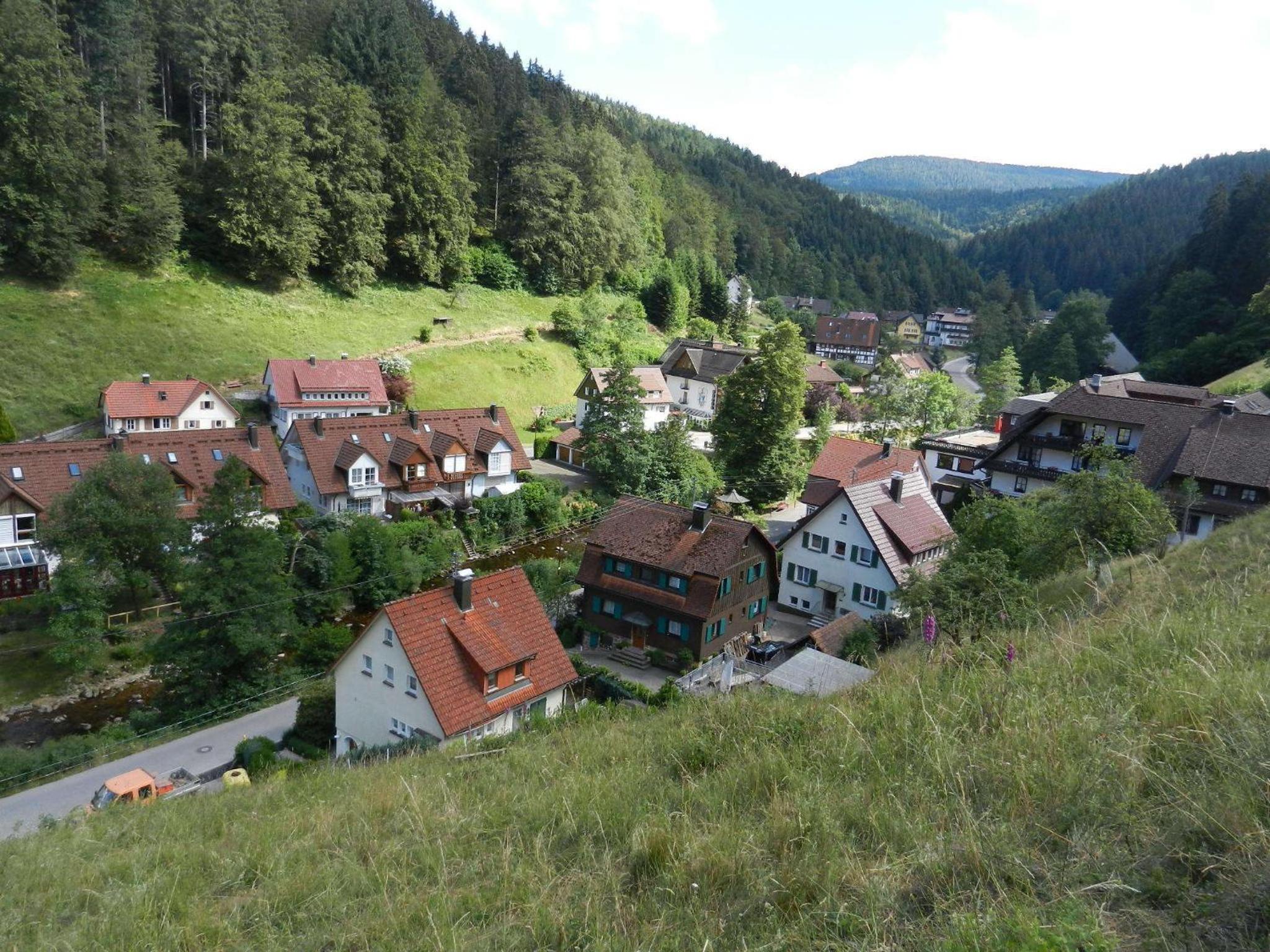 Ferienwohnungen in Schönmünzach