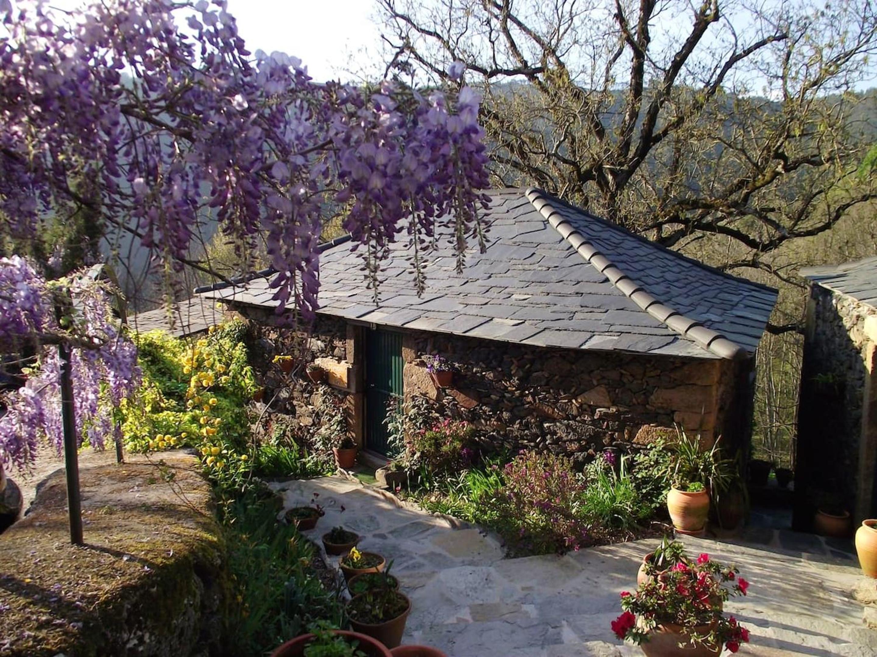 Charming House Terrace Amarante