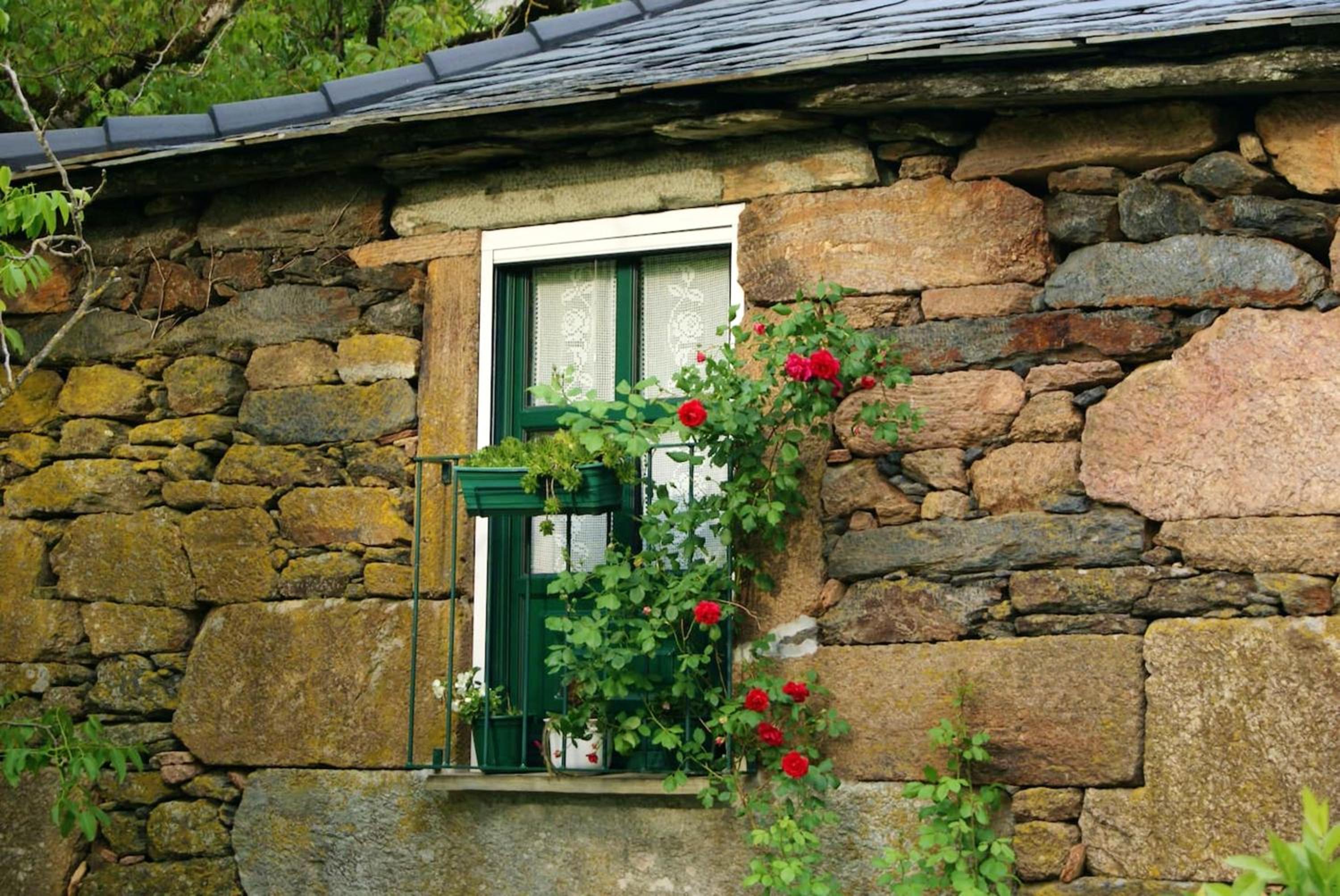 Charming House Terrace Amarante