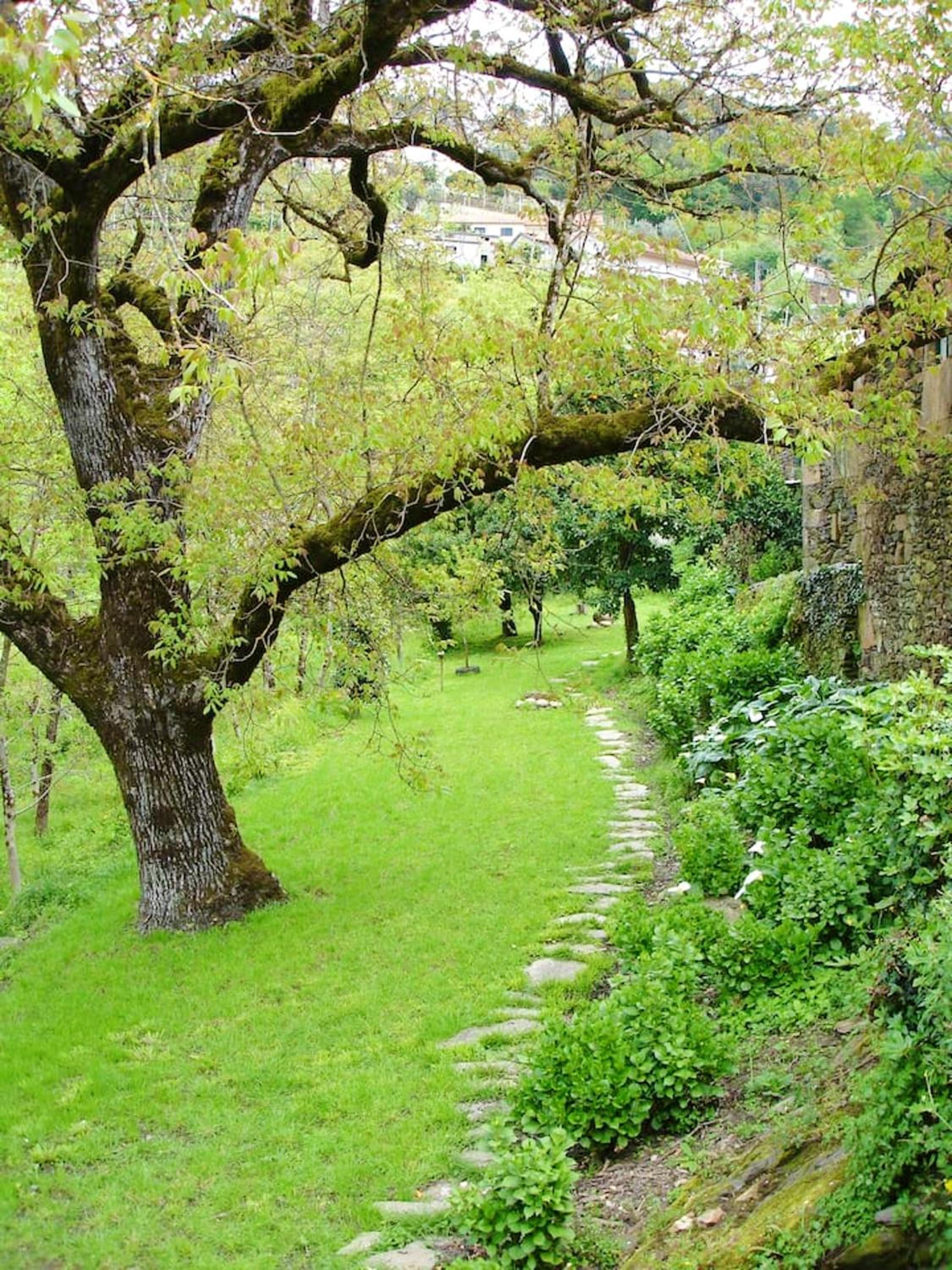Charming House Terrace Amarante