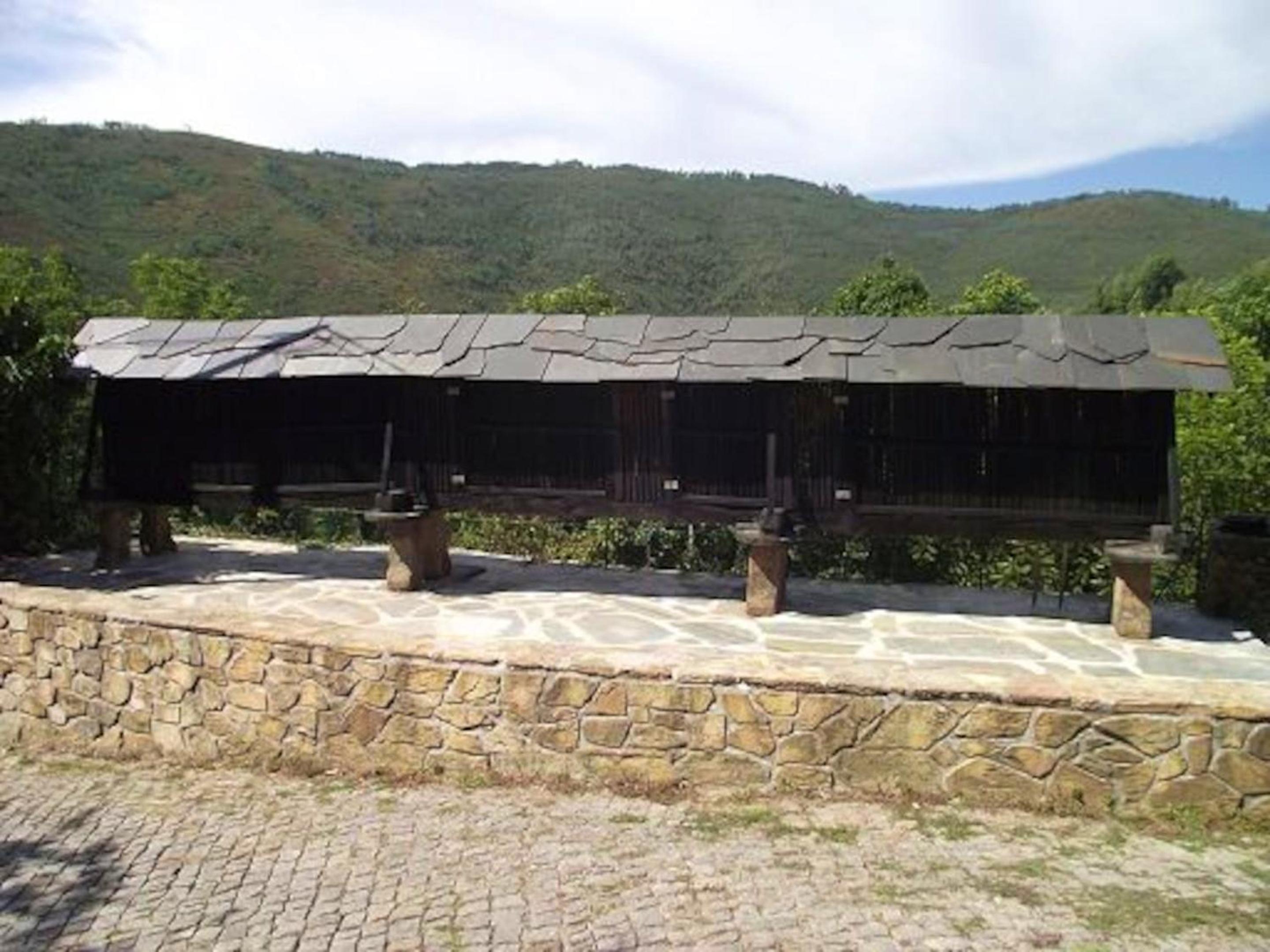 Charming House Terrace Amarante