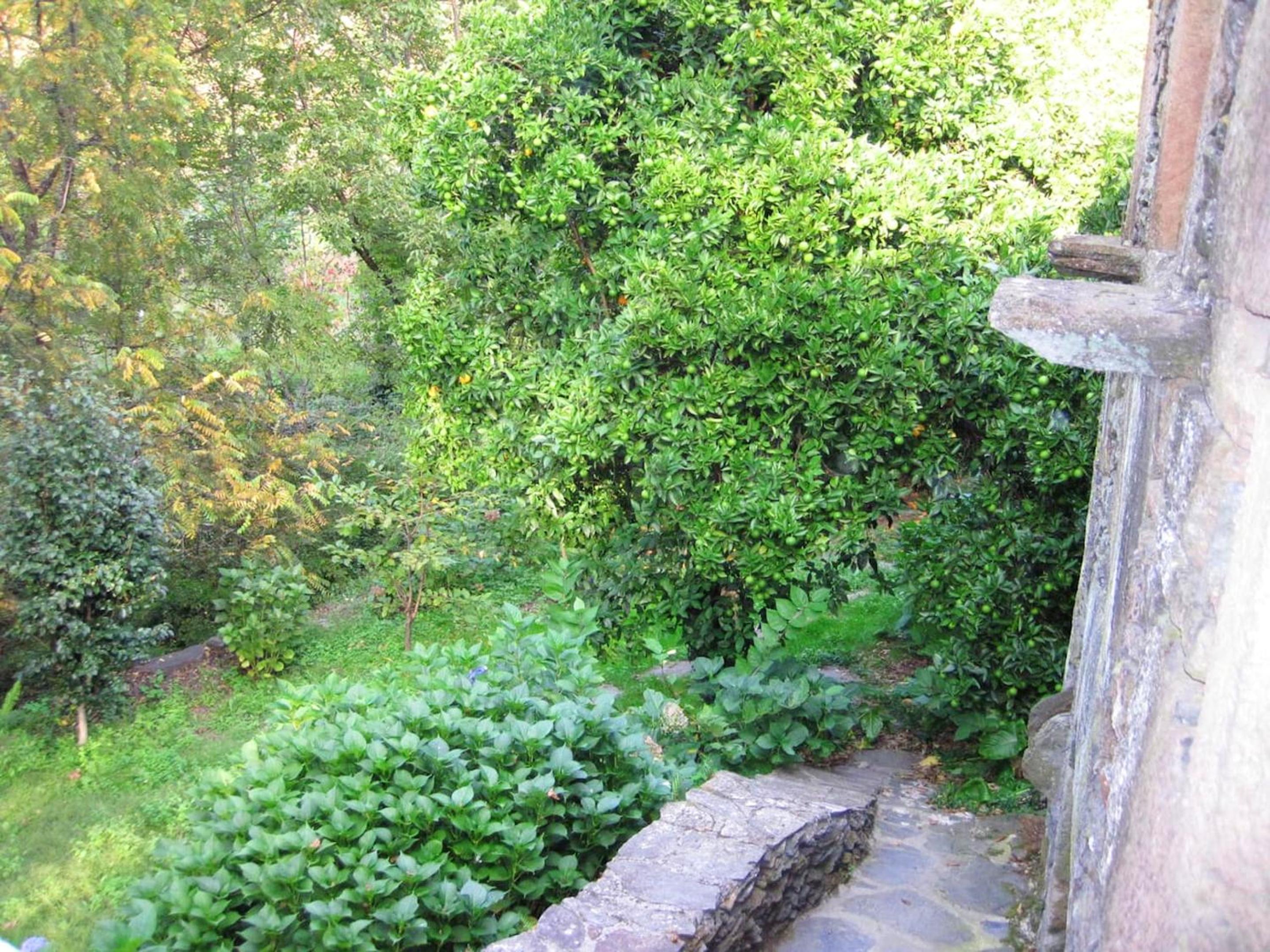 Charming House Terrace Amarante