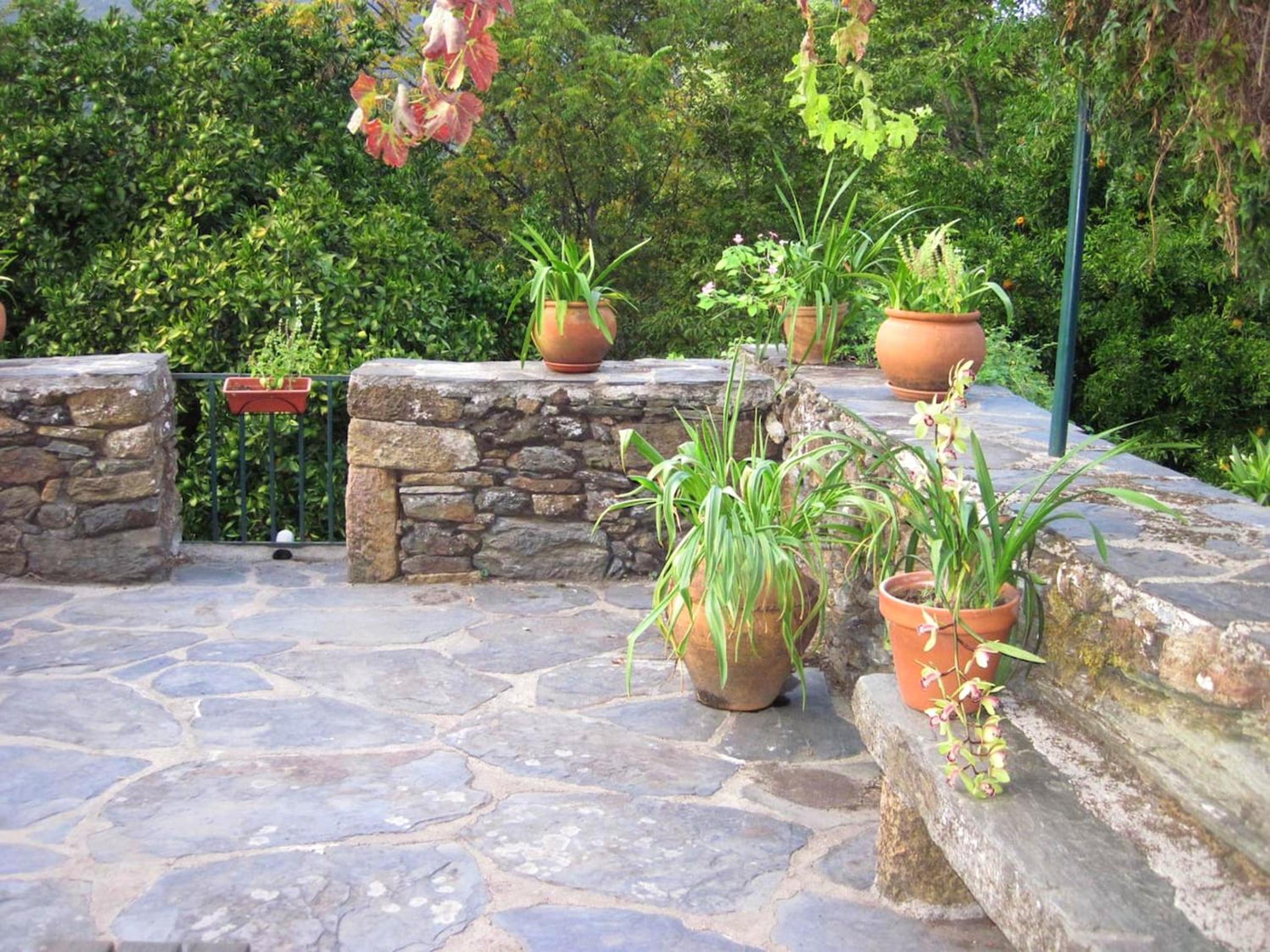 Charming House Terrace Amarante