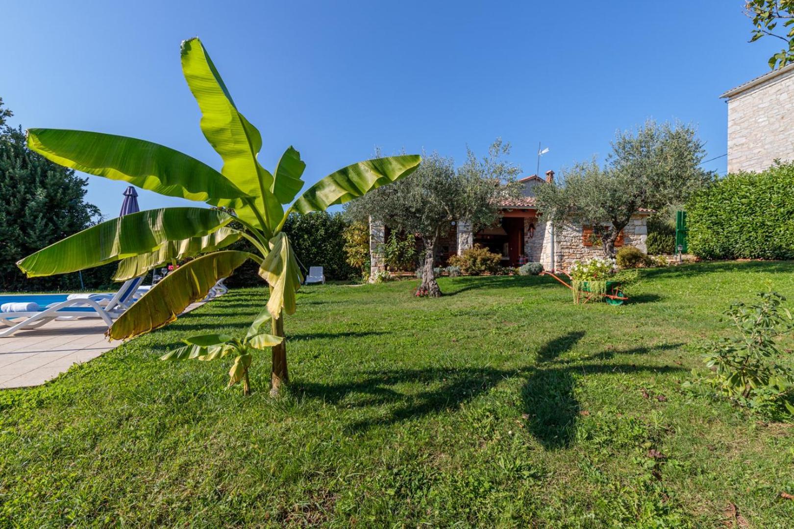 Holiday Home Tamaris with Pool view 3