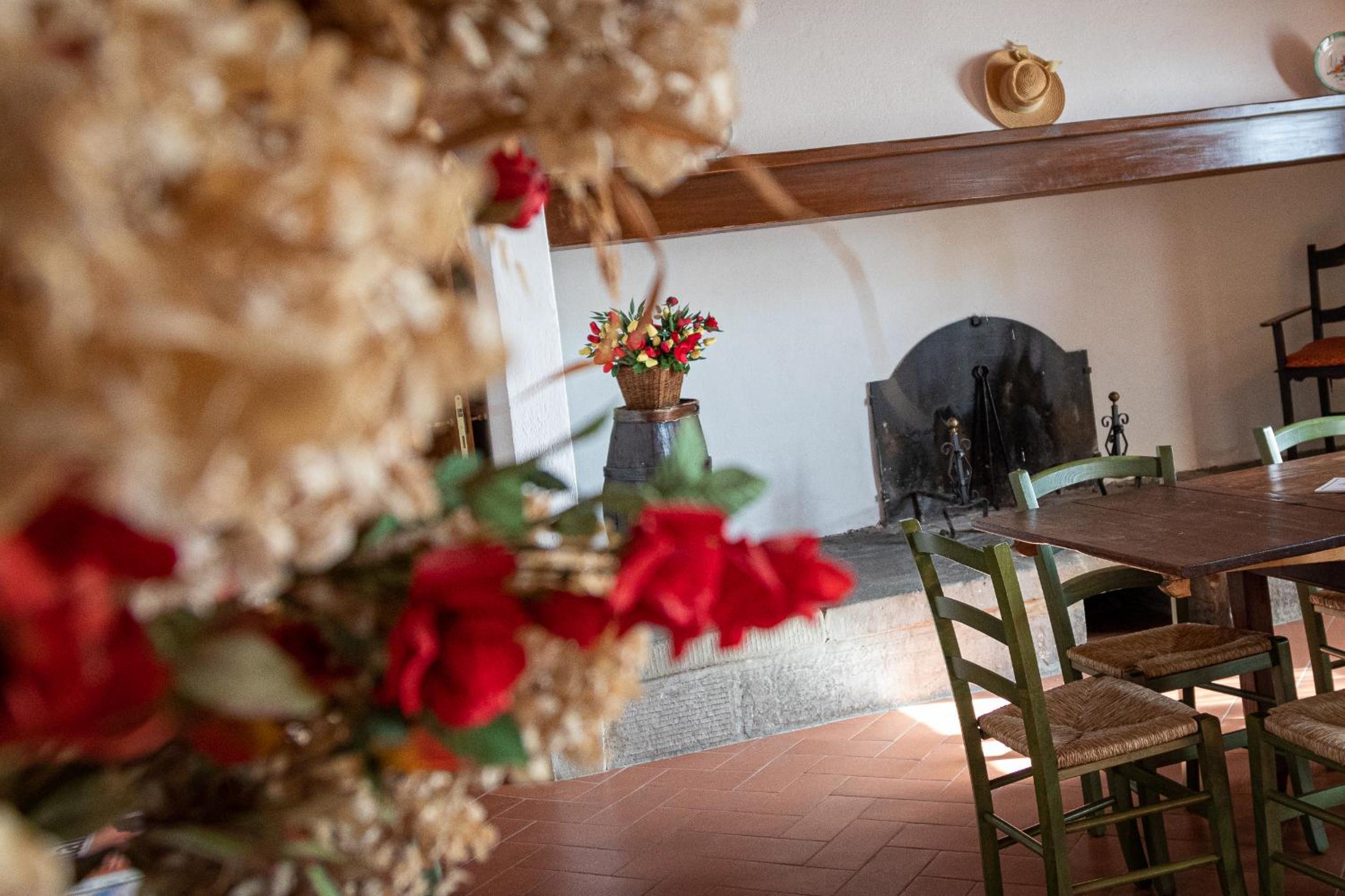 Agriturismo I Bonsi