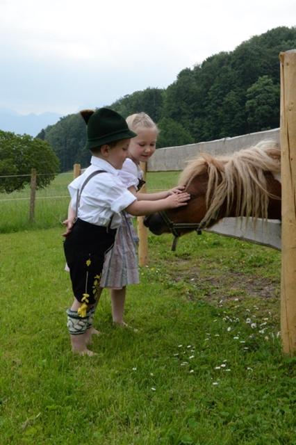 Cafe Wastelbauerhof - Urlaub auf dem Bauernhof
