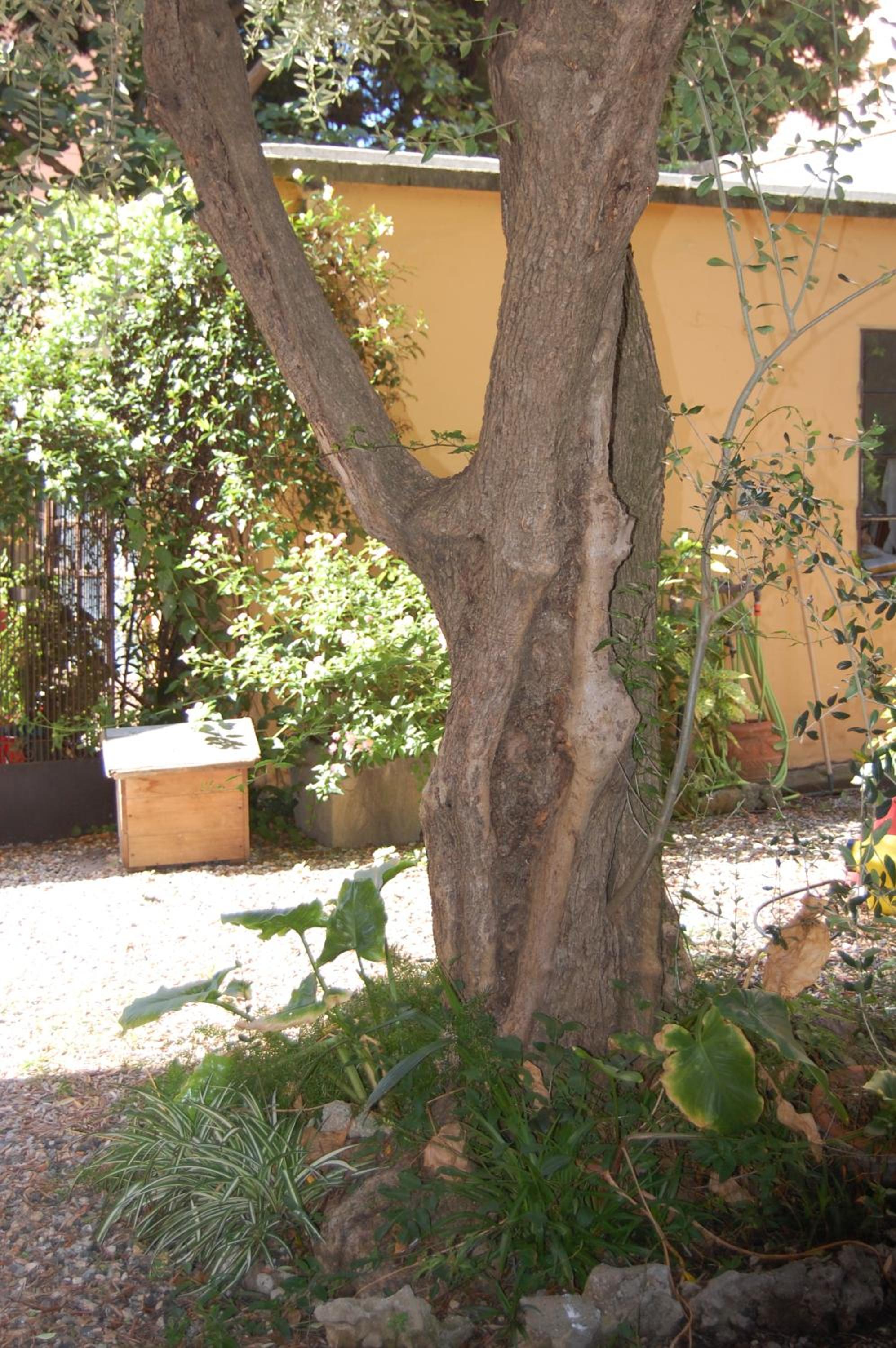 Photo 38