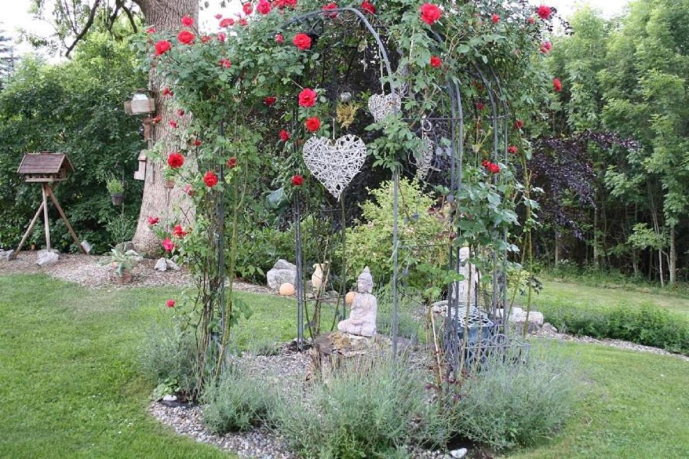 Photo 51