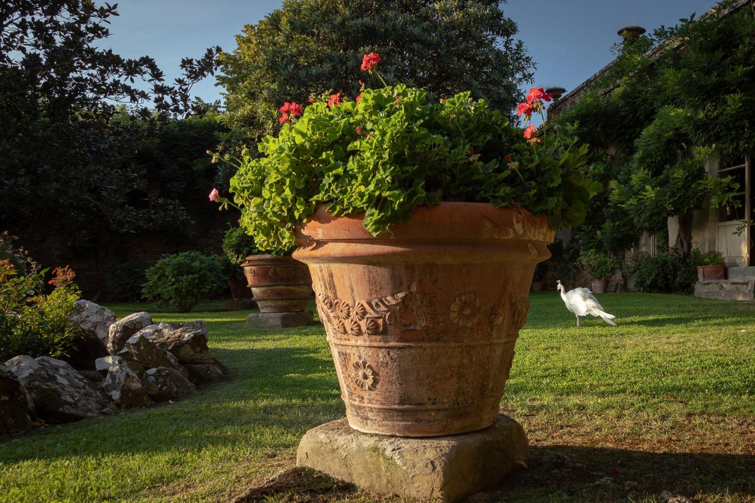 Agriturismo I Bonsi