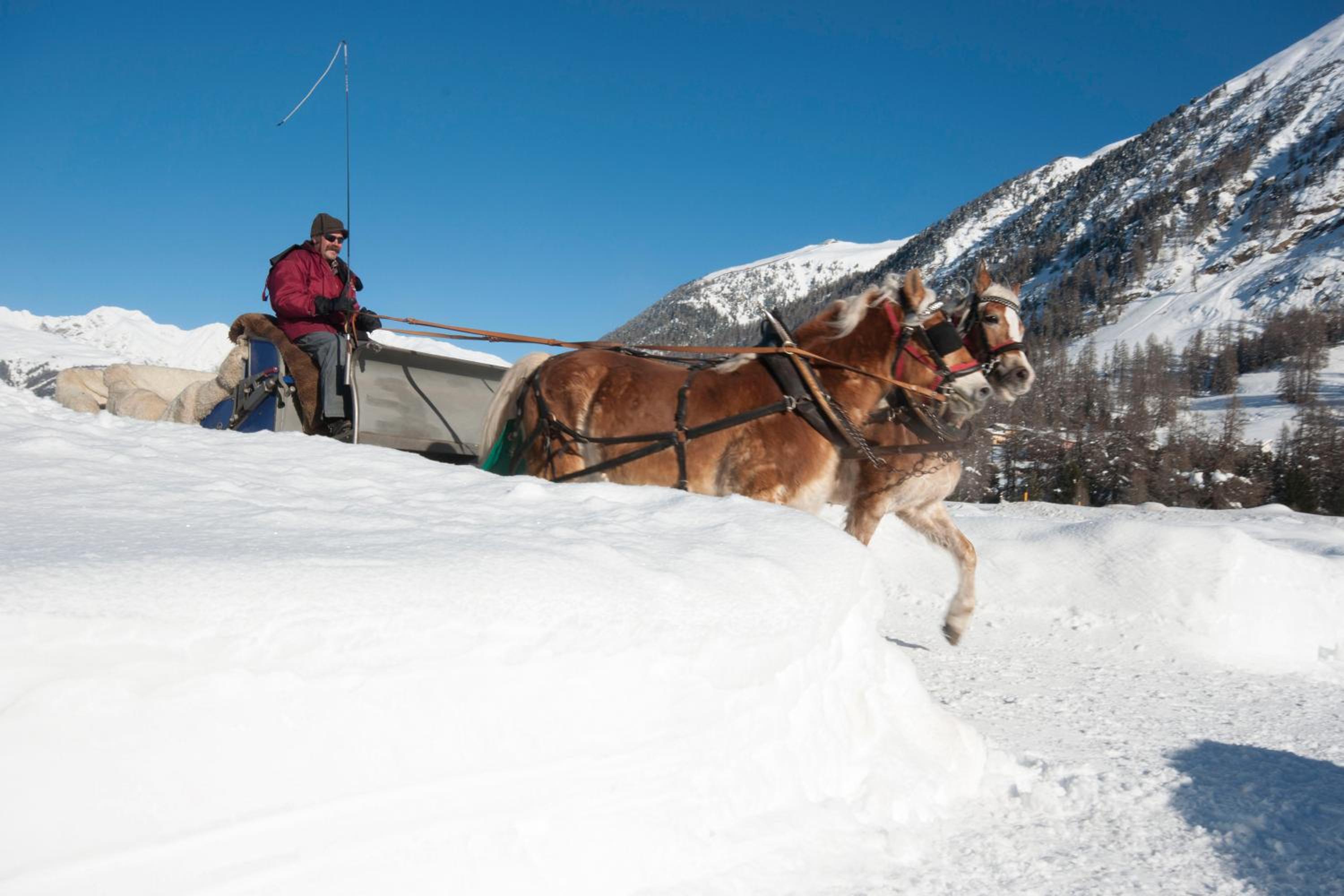 Pontresina Youth Hostel