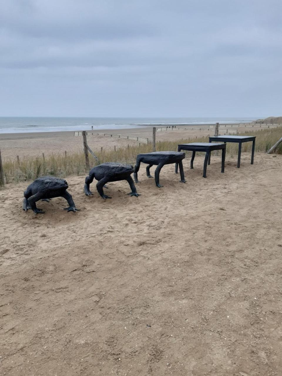 Prachtig Zeezicht Westcorner