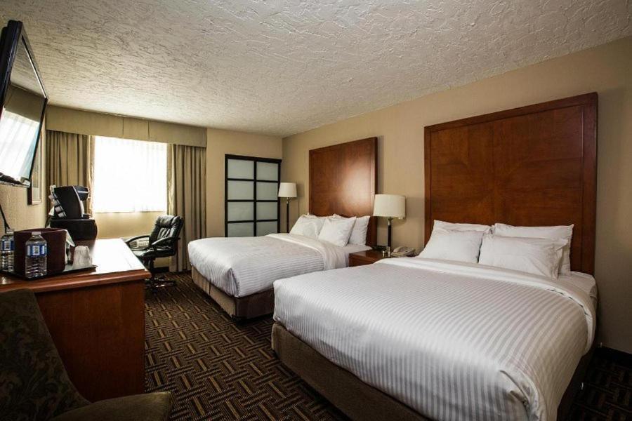 Medicine Hat Vacations - Wyndham Garden Medicine Hat Conference Center - Property Image 3