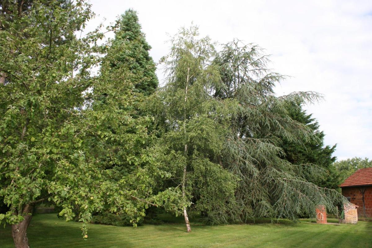 Gites Chambres d'hotes Entre Terre  Mer - Property Image 17