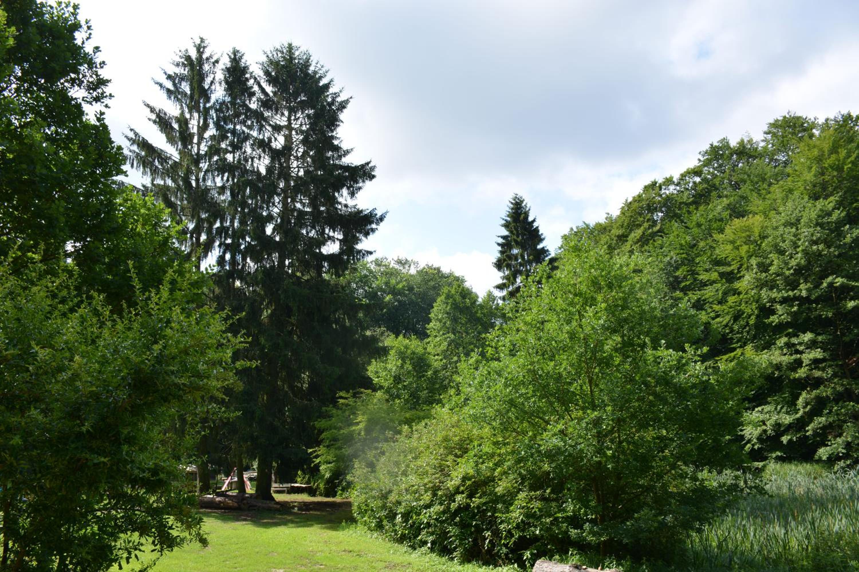 Bungalows am Waldessaum bei Hohenzieritz