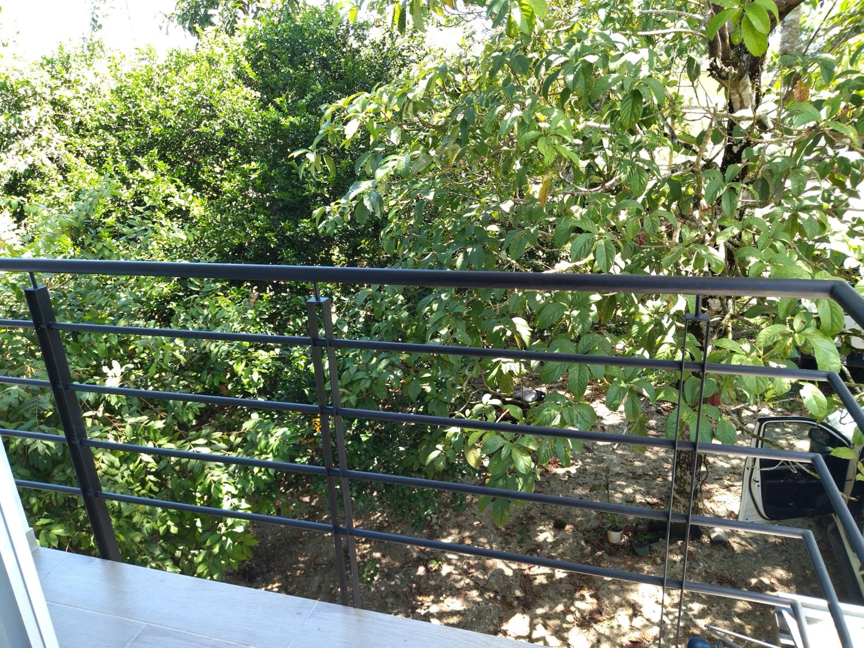 Photo 43