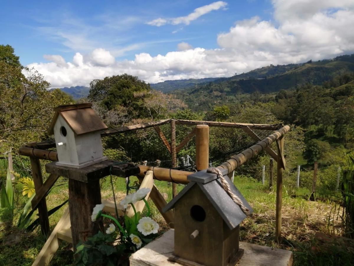 ALMA Glamping - San Francisco Cund - A 1h de Bogotá view 3