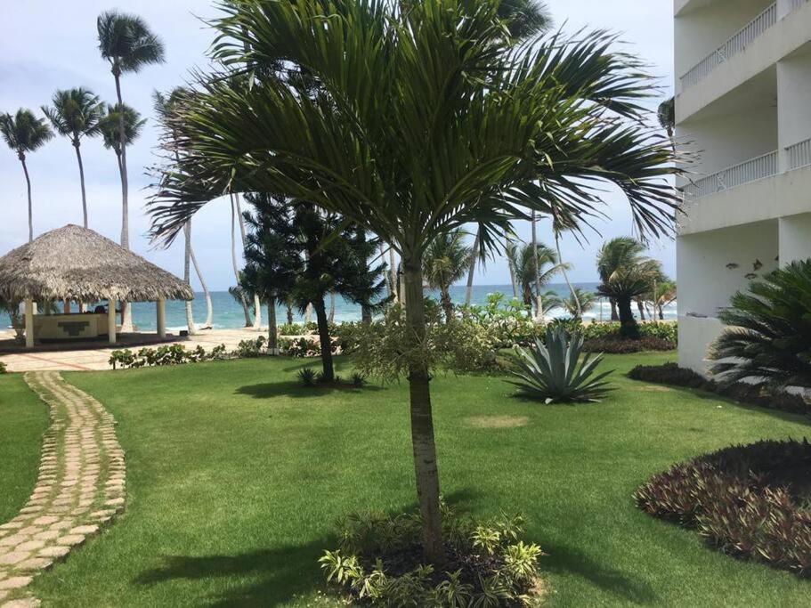 Juan Dolio Vacations - Modern, Welcoming Studio, Ocean View in Juan Dolio - Property Image 4