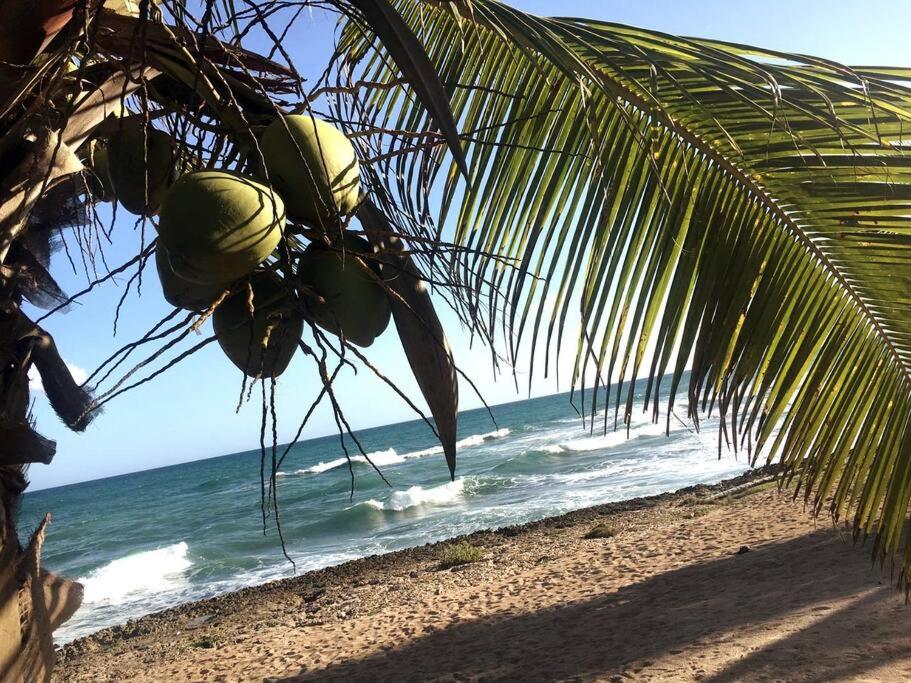 Juan Dolio Vacations - Modern, Welcoming Studio, Ocean View in Juan Dolio - Property Image 1