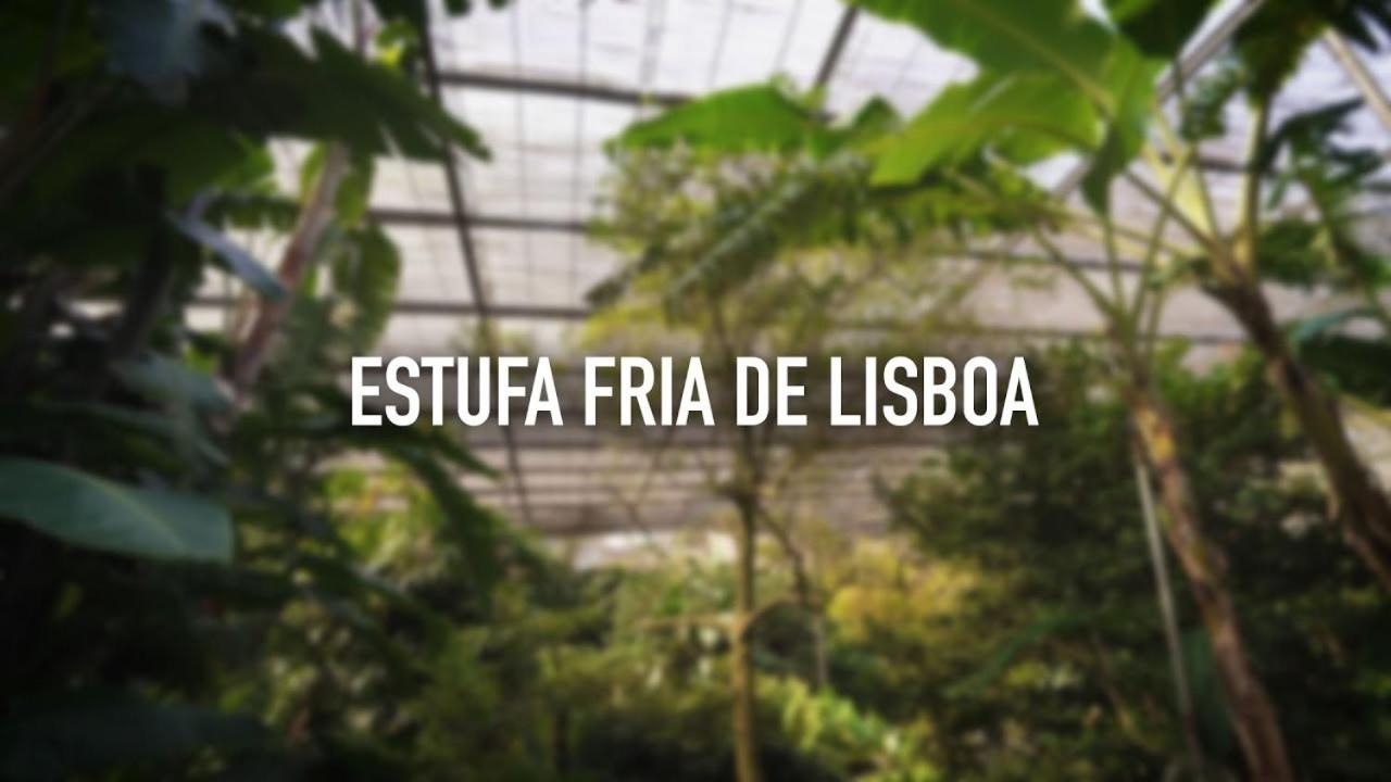 Chez Jacqueline view 3