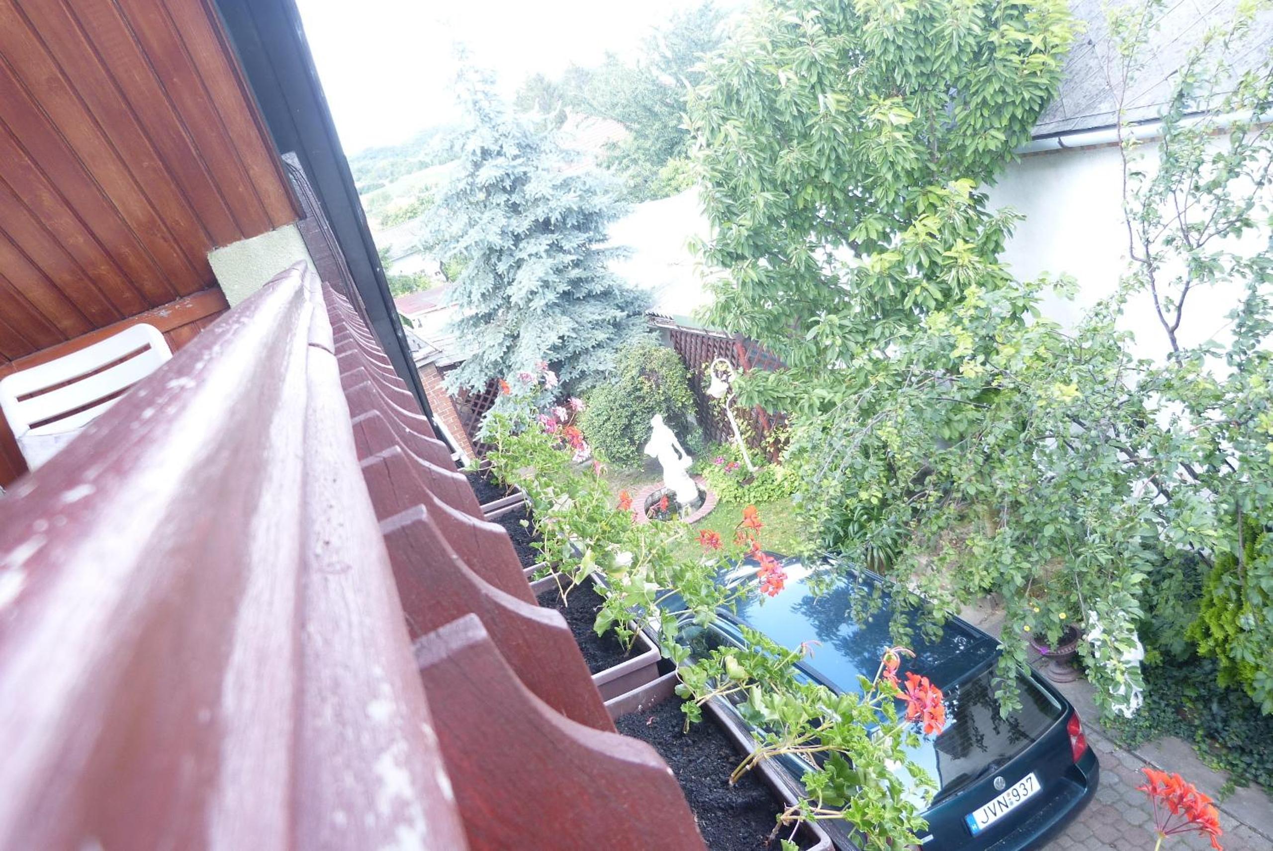 Photo 45