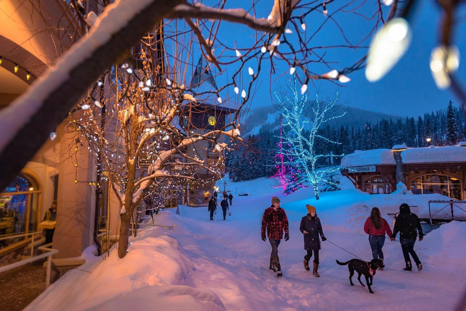 2BR in Crystal Forest, Ski In, Ski Out, Fireplace, Private Hot Tub, Steps to the Village