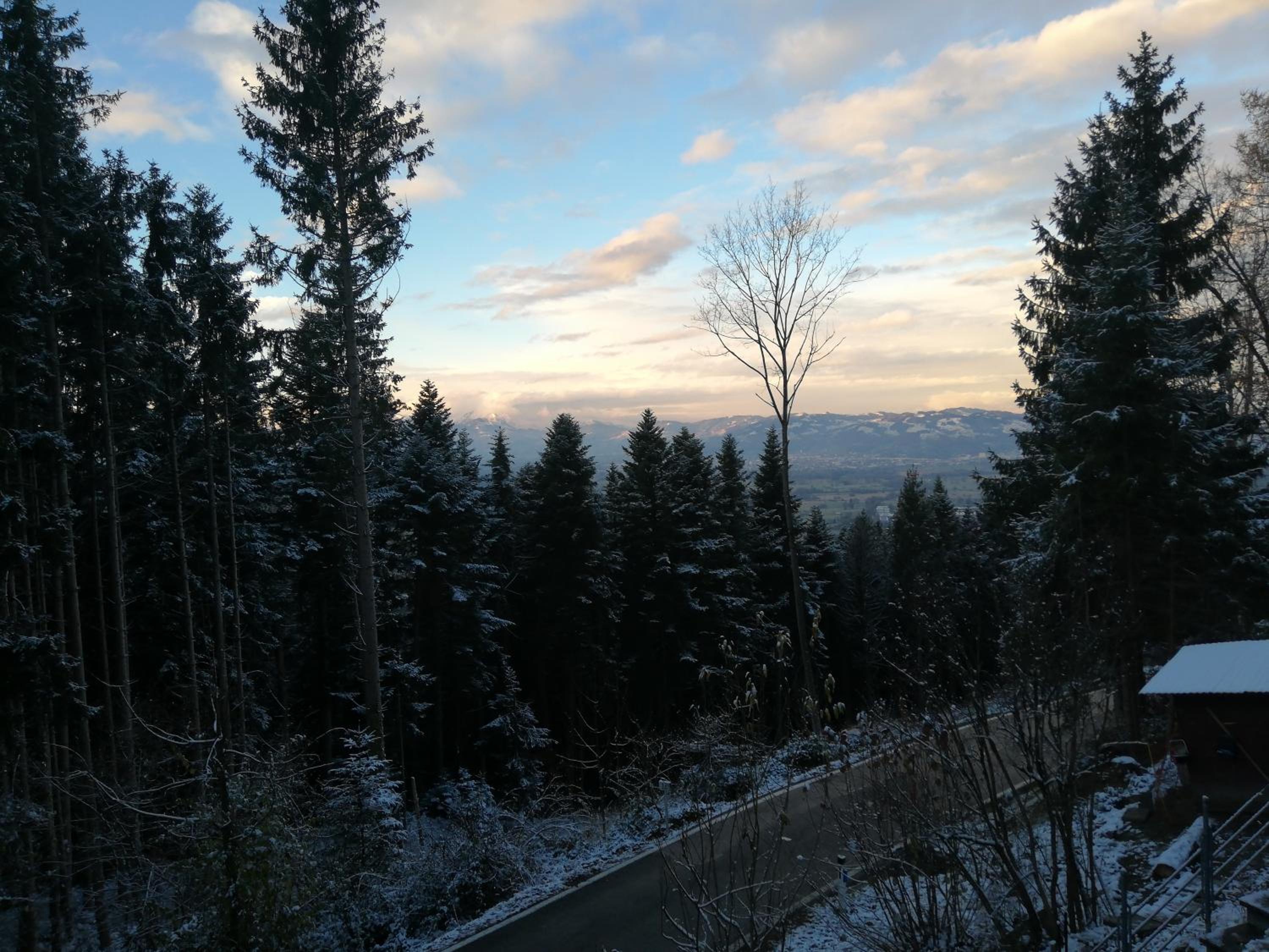 1 ZI Appartement Zauberwald