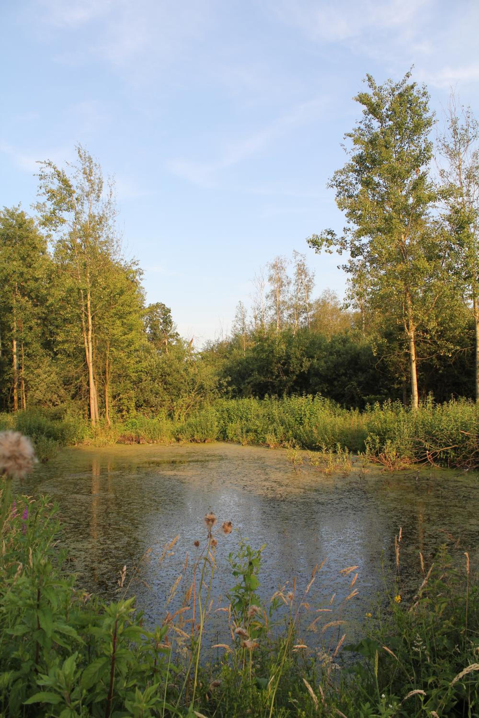 Agroturystyka Nowa Wólka view 2