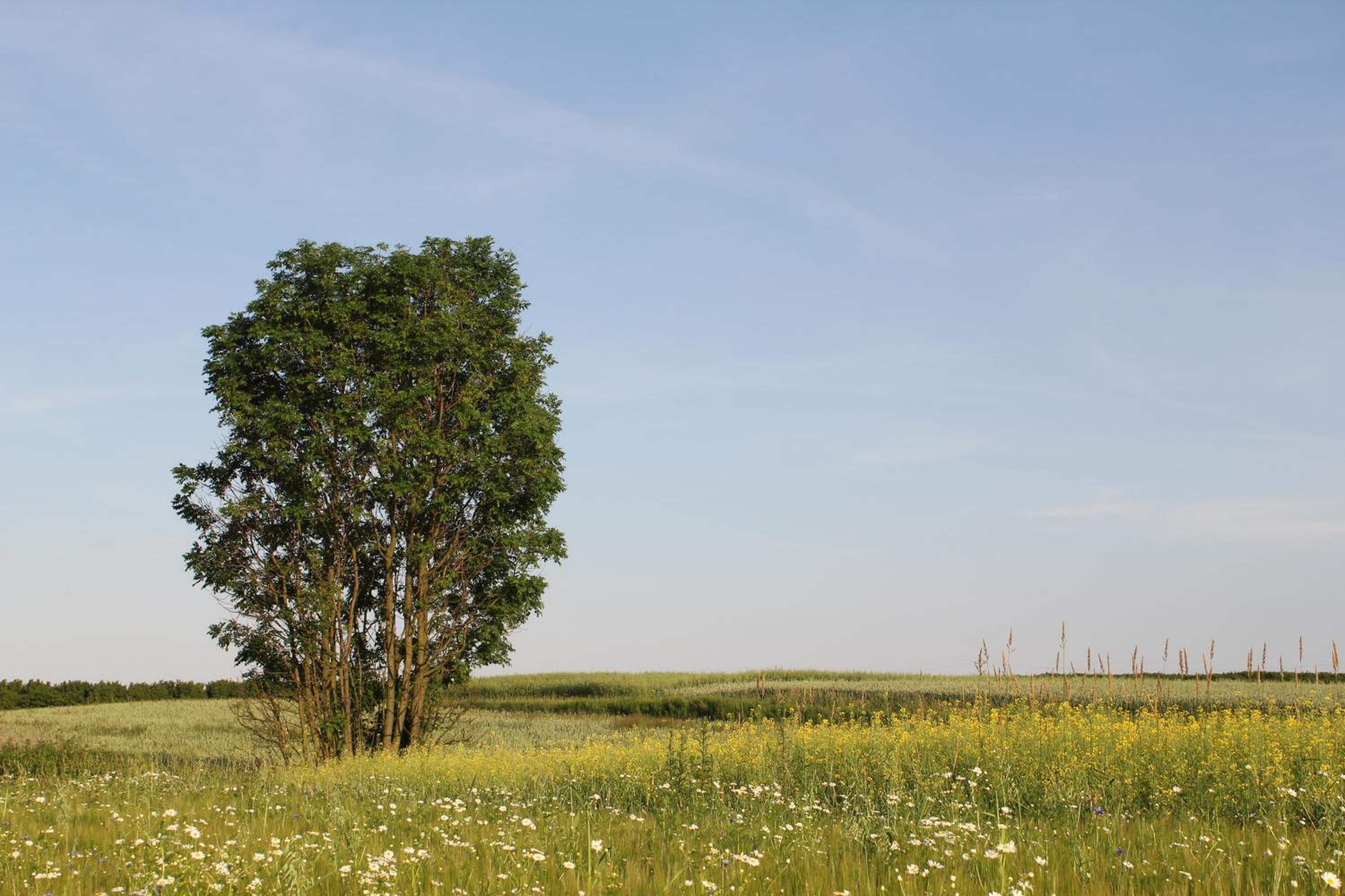 Agroturystyka Nowa Wólka view 4