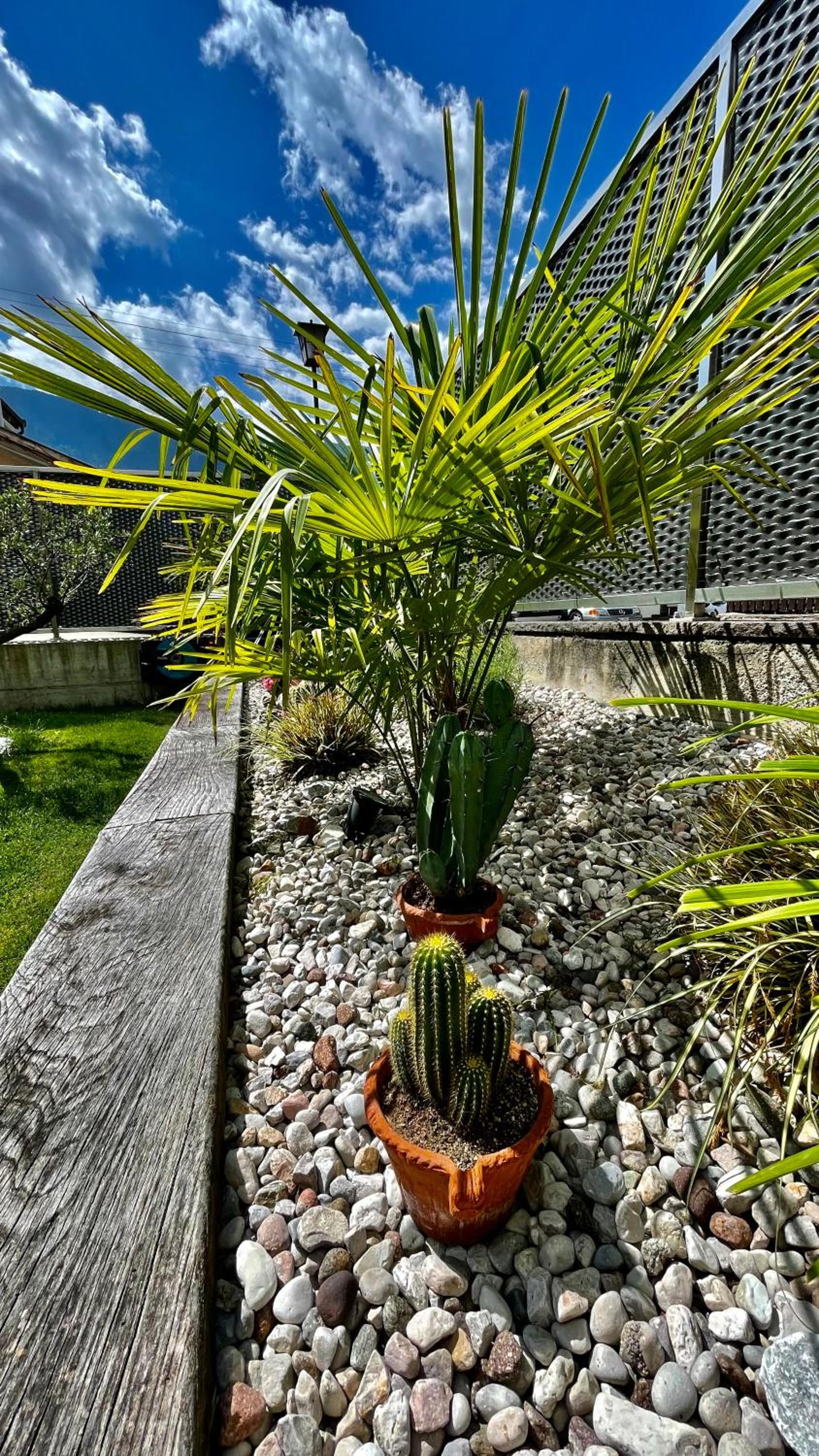 Apartment Zielspitz en Parcines