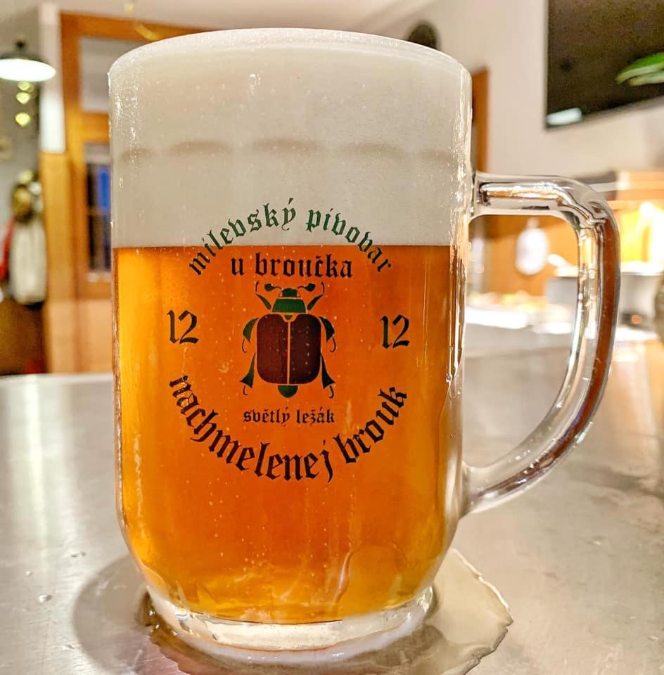 Penzion U Broucka