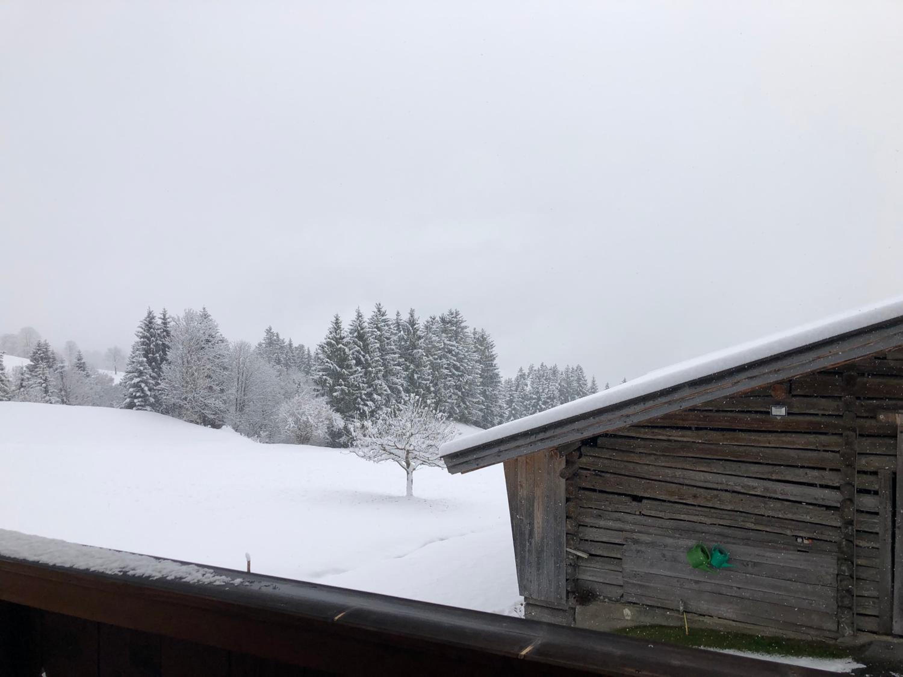 Haus Baumoos