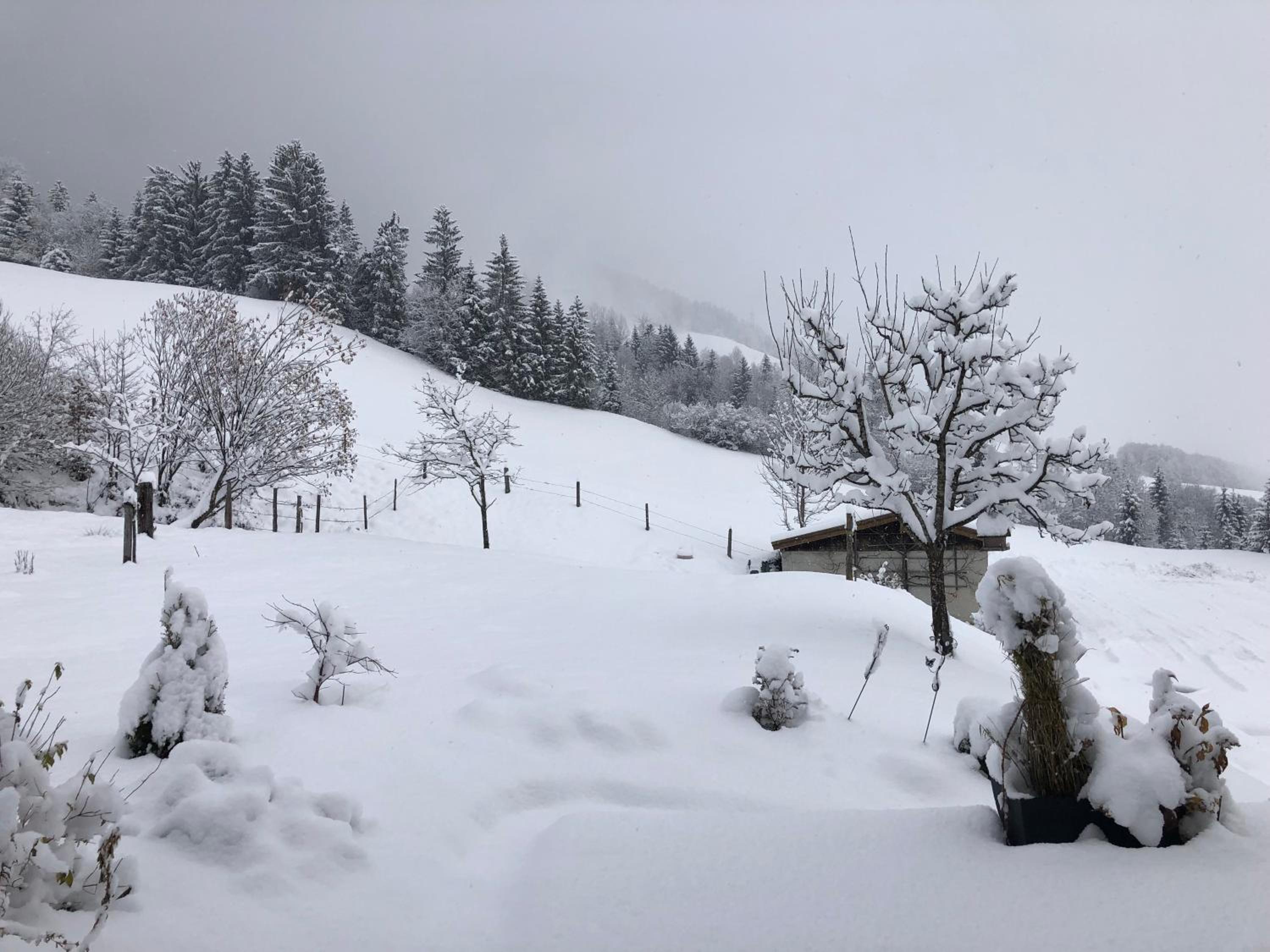 Haus Baumoos