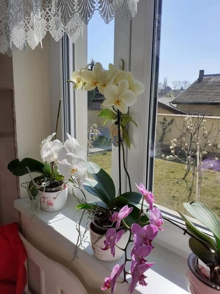 Photo 53
