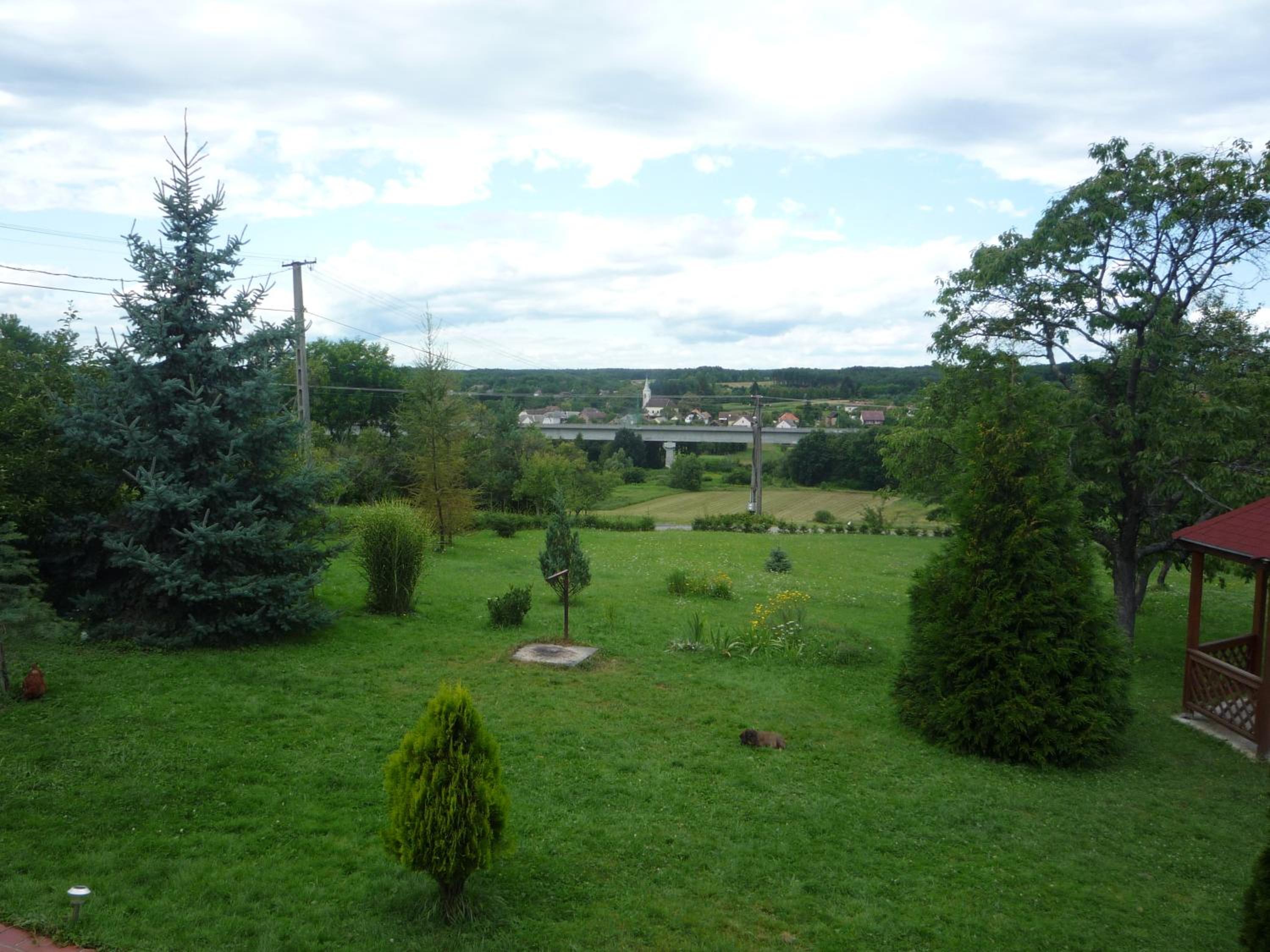 Photo 29