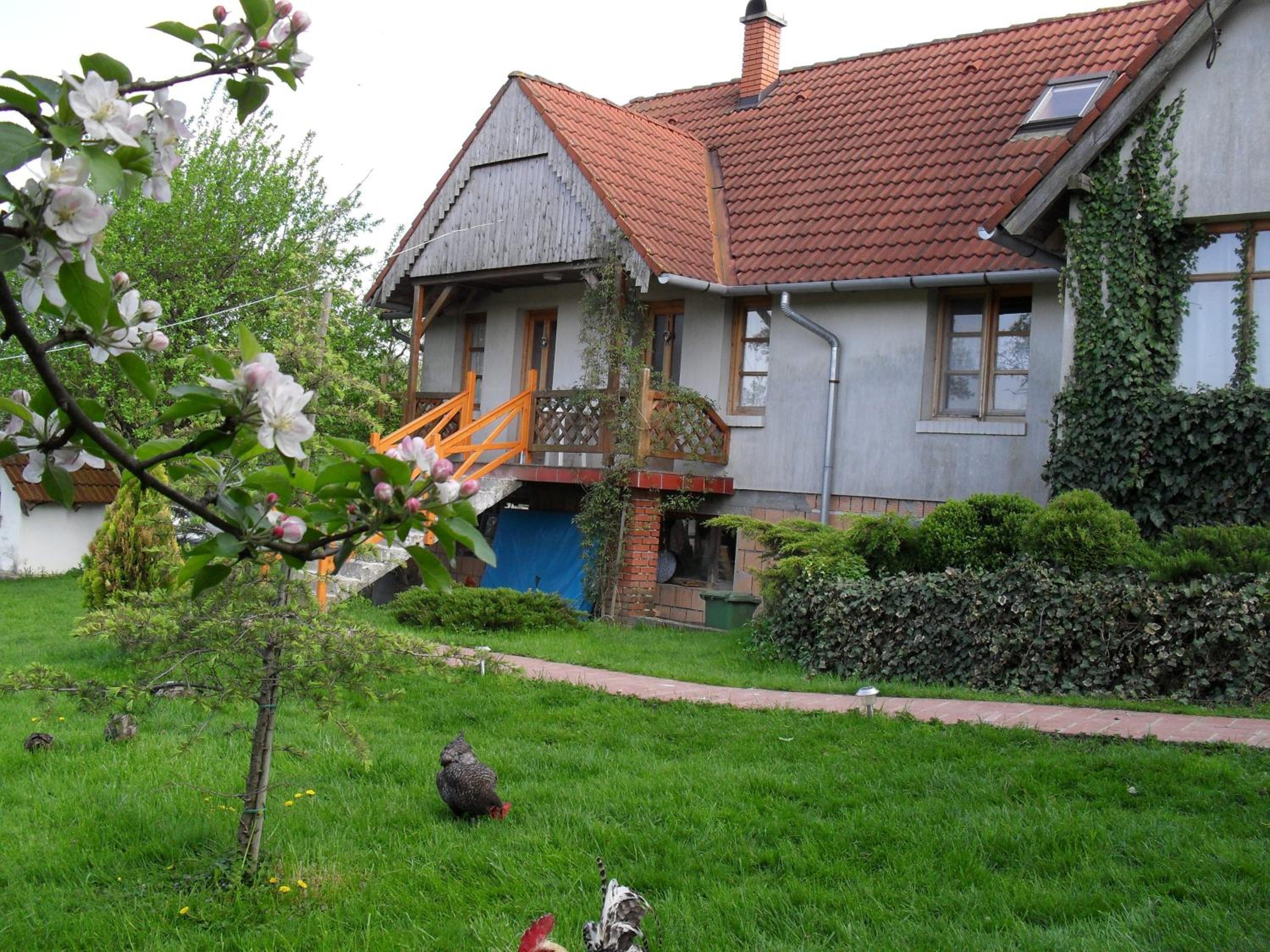 Photo 31