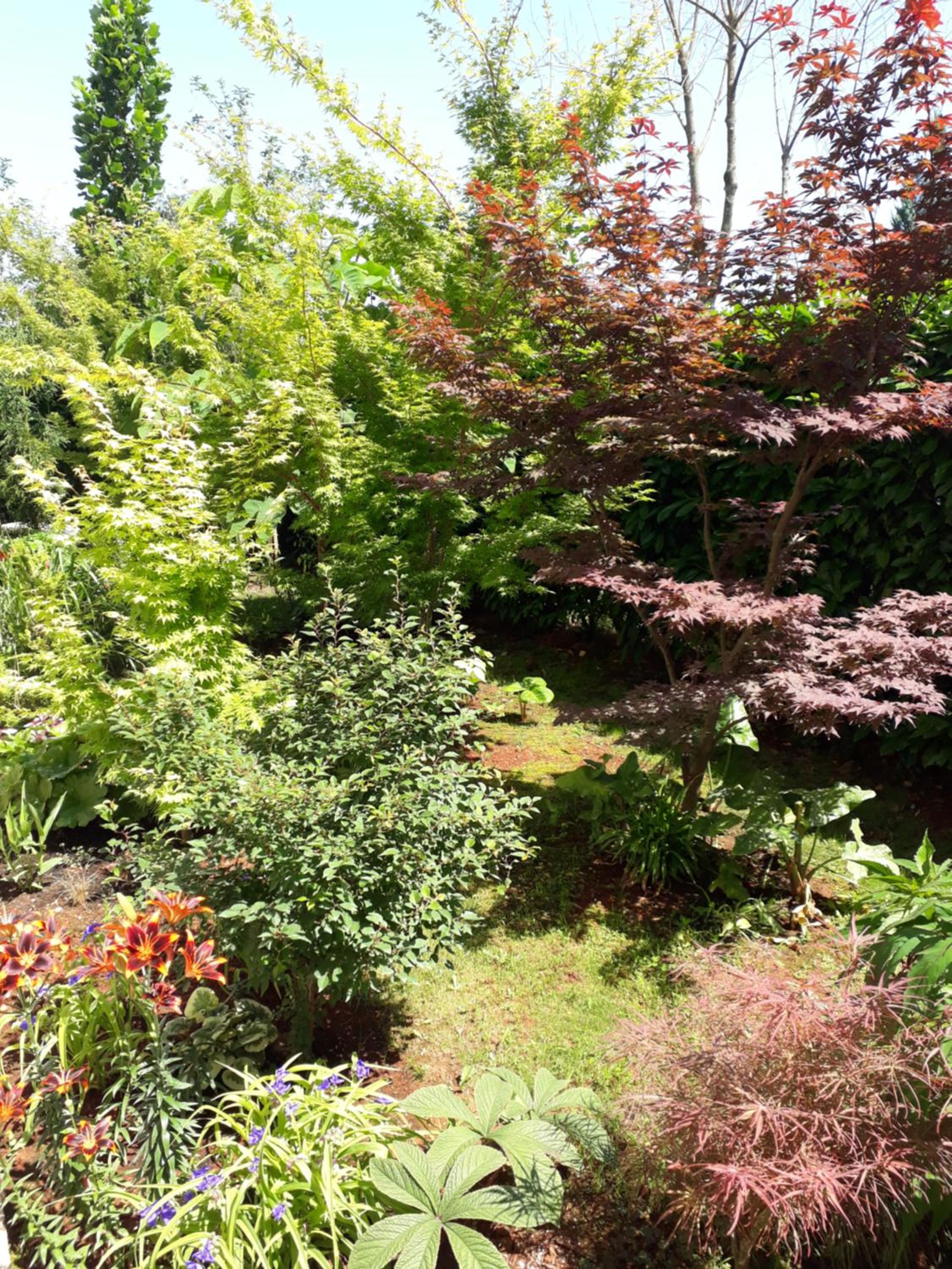 Apartman Igor view 5