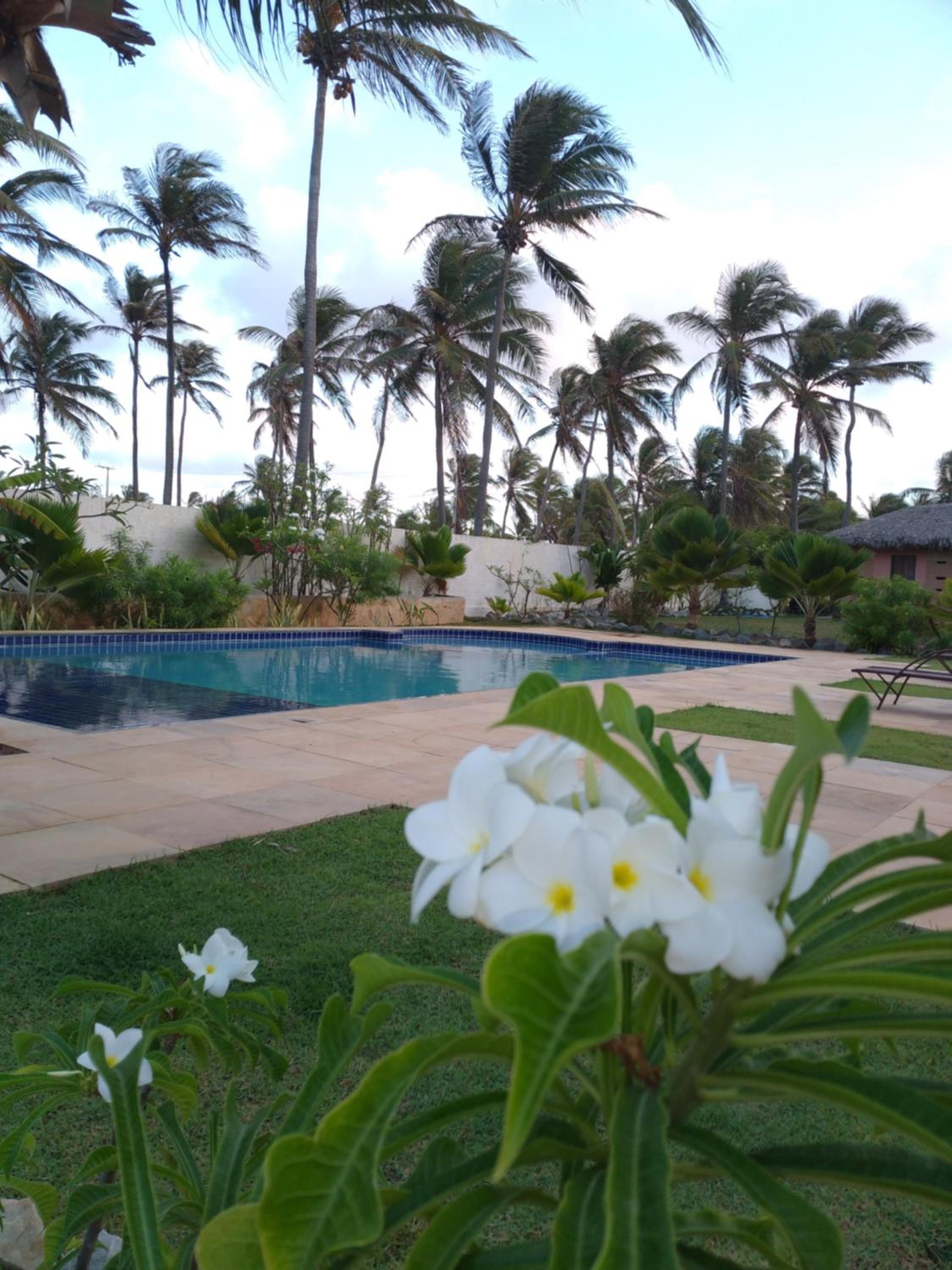 Vila Saguaro