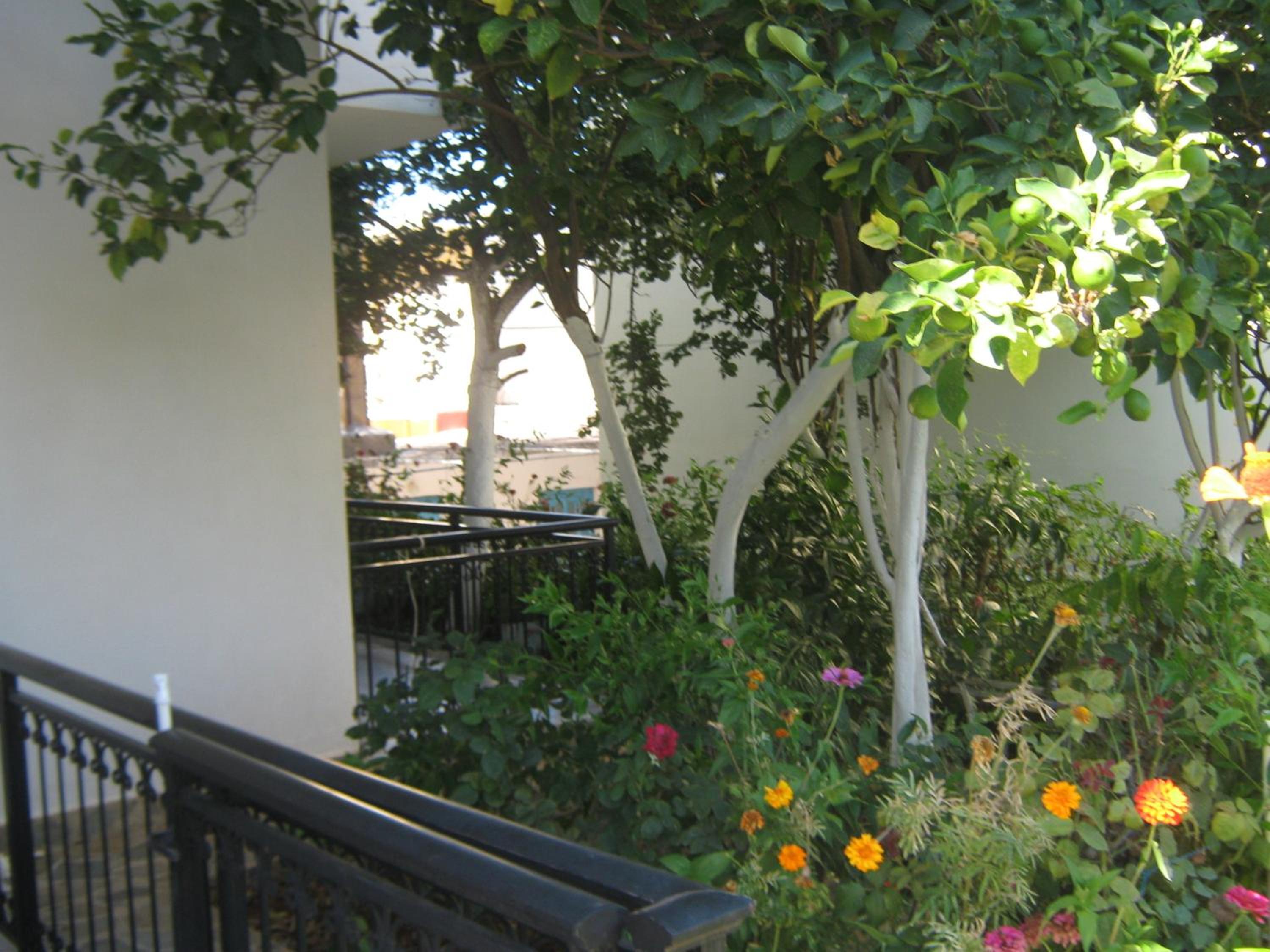 Friderica House